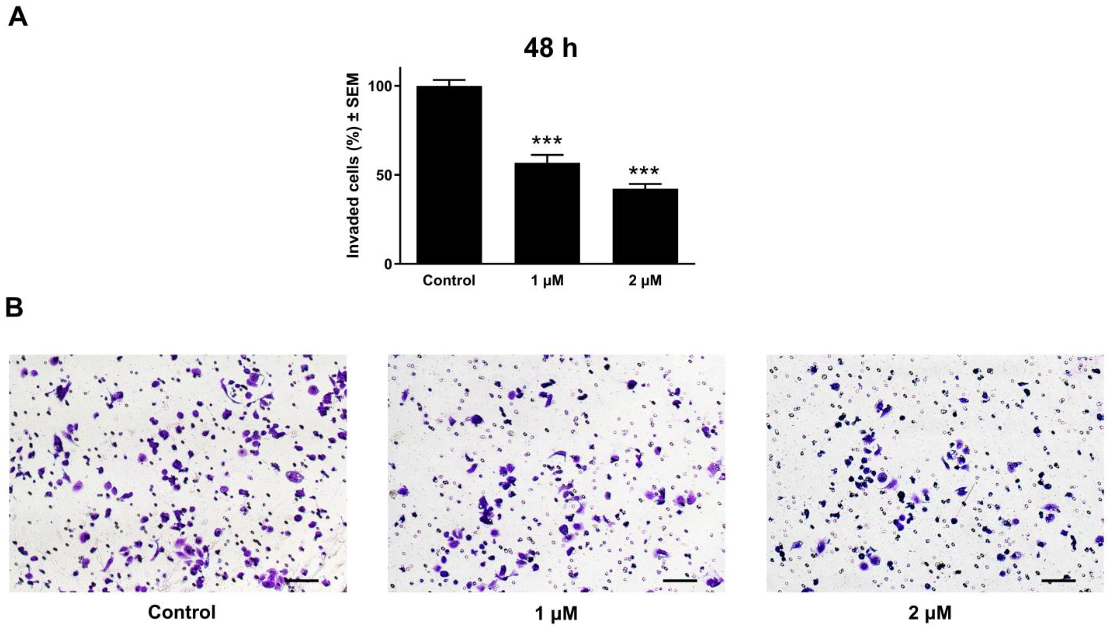 Pharmaceutics 17 01253 g009 Pharmaceutics 17 01253 g009
