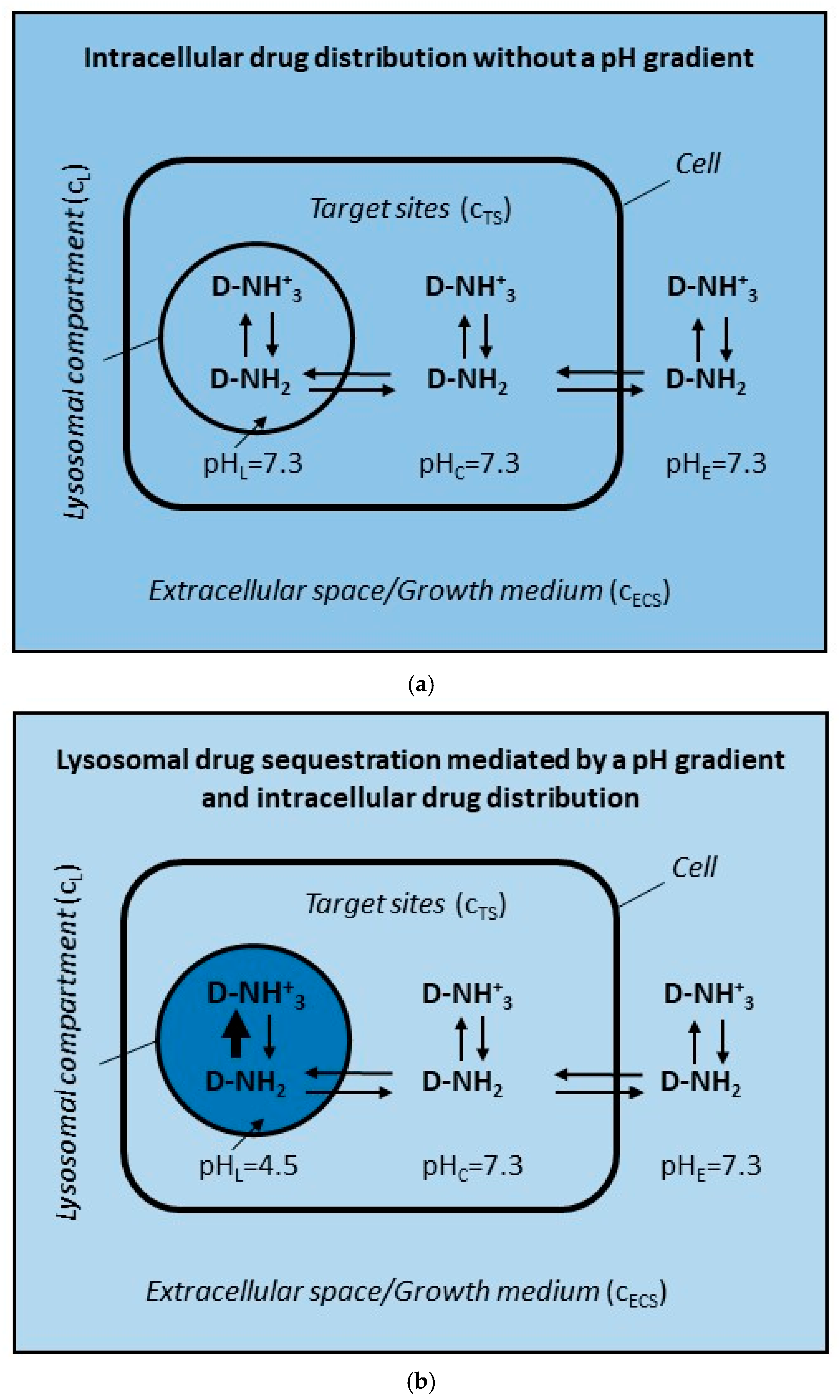 Pharmaceutics 17 01255 g001