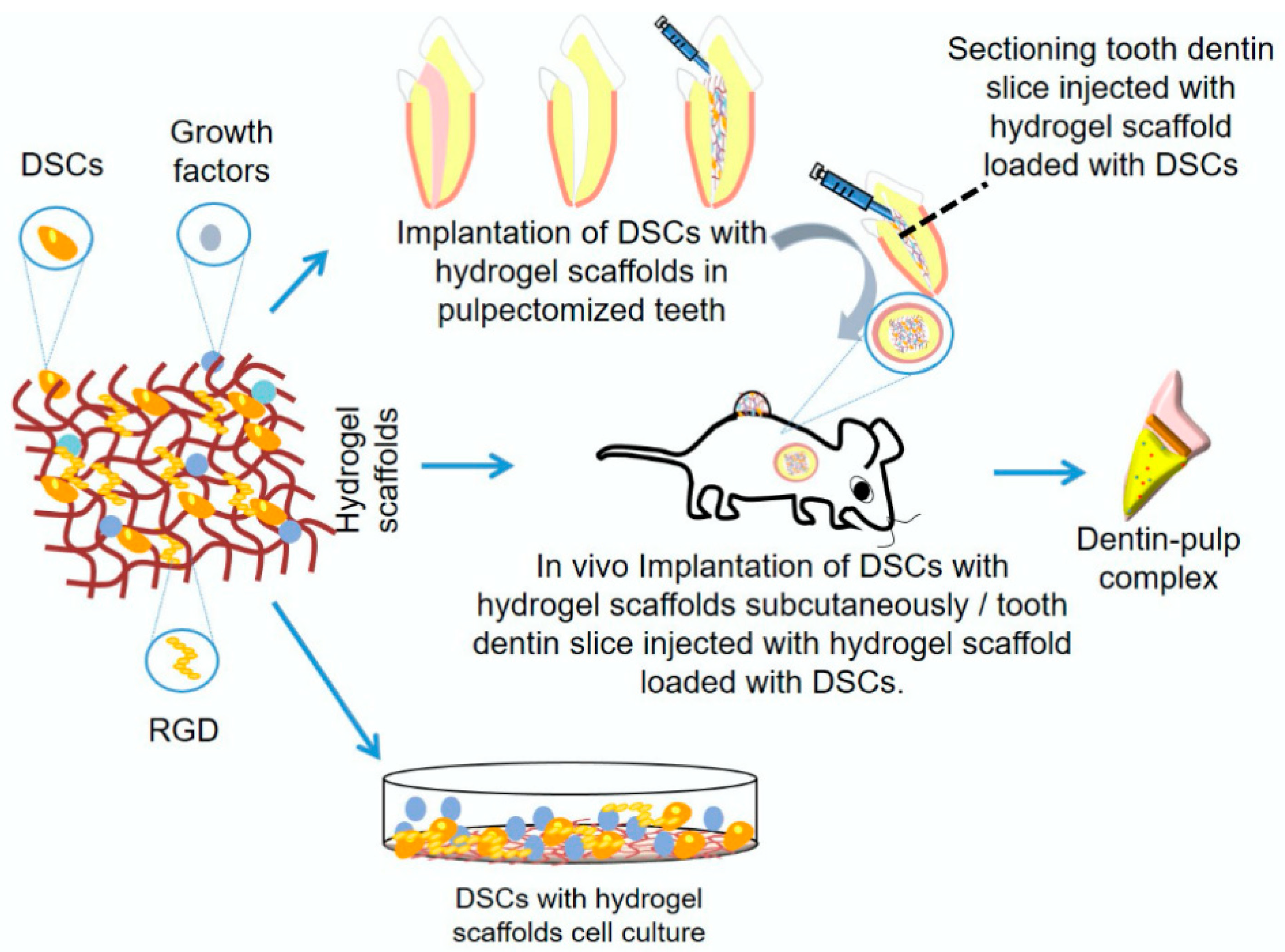 Pharmaceutics 17 01256 g001