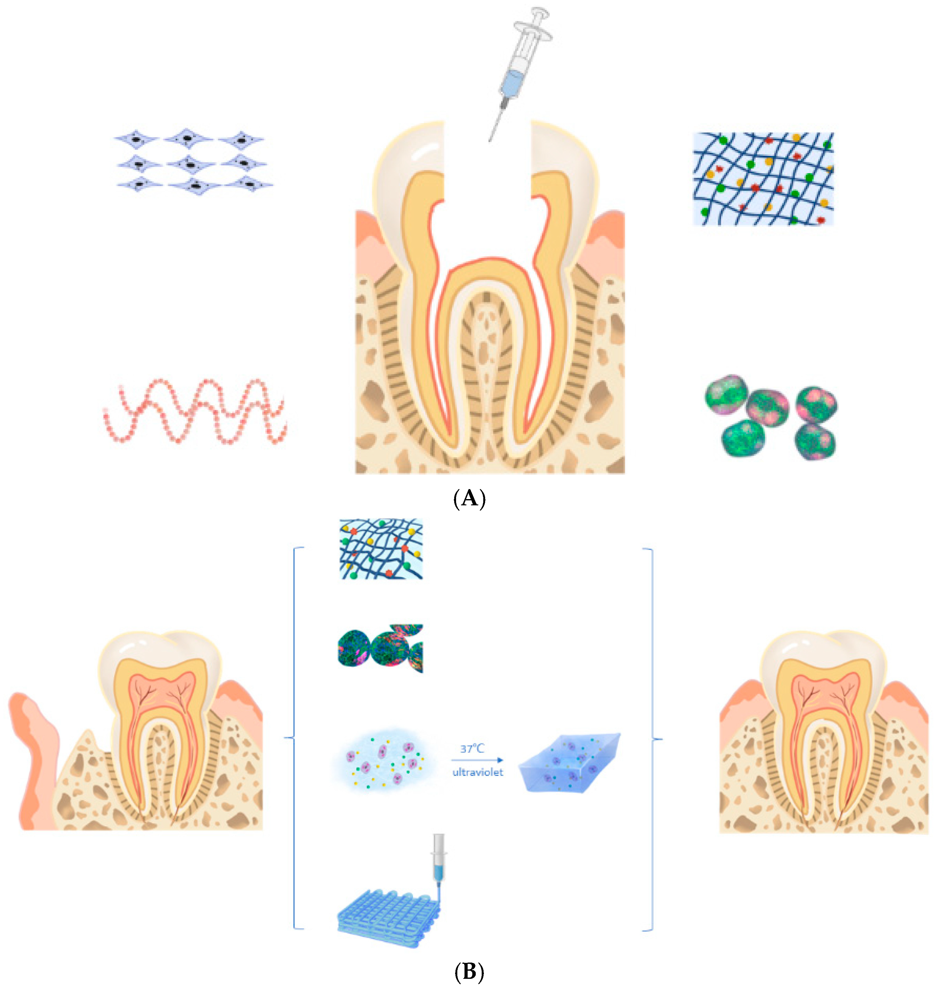 Pharmaceutics 17 01256 g002