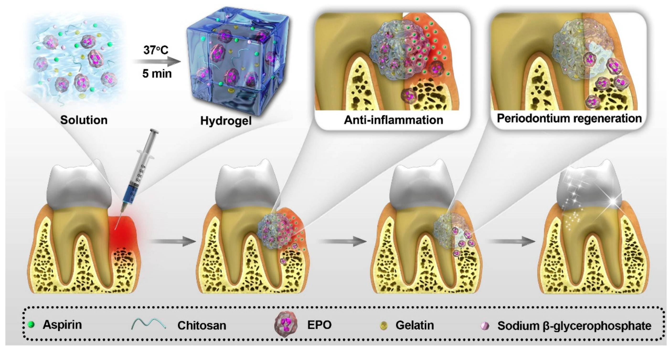 Pharmaceutics 17 01256 g003