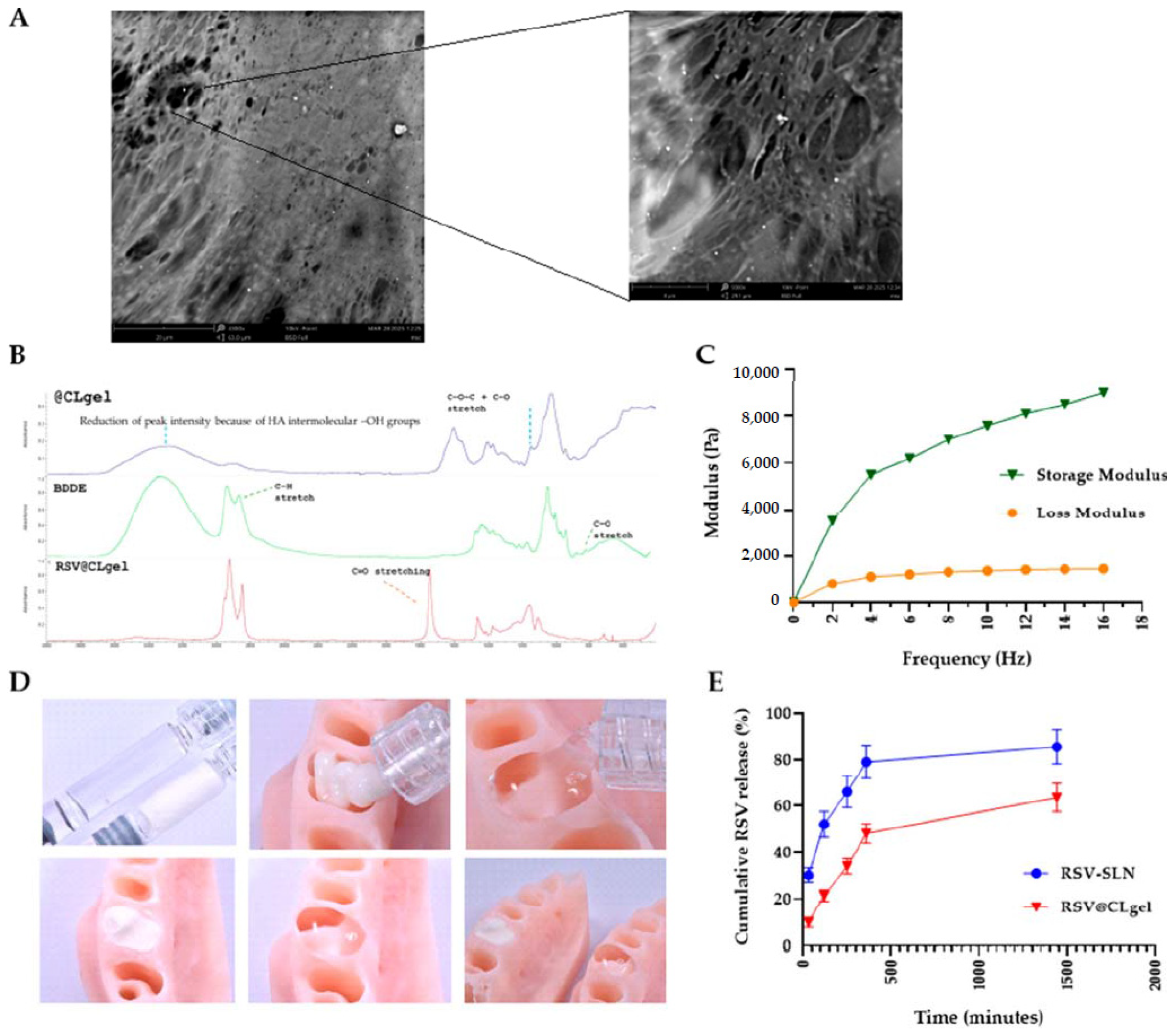 Pharmaceutics 17 01256 g008