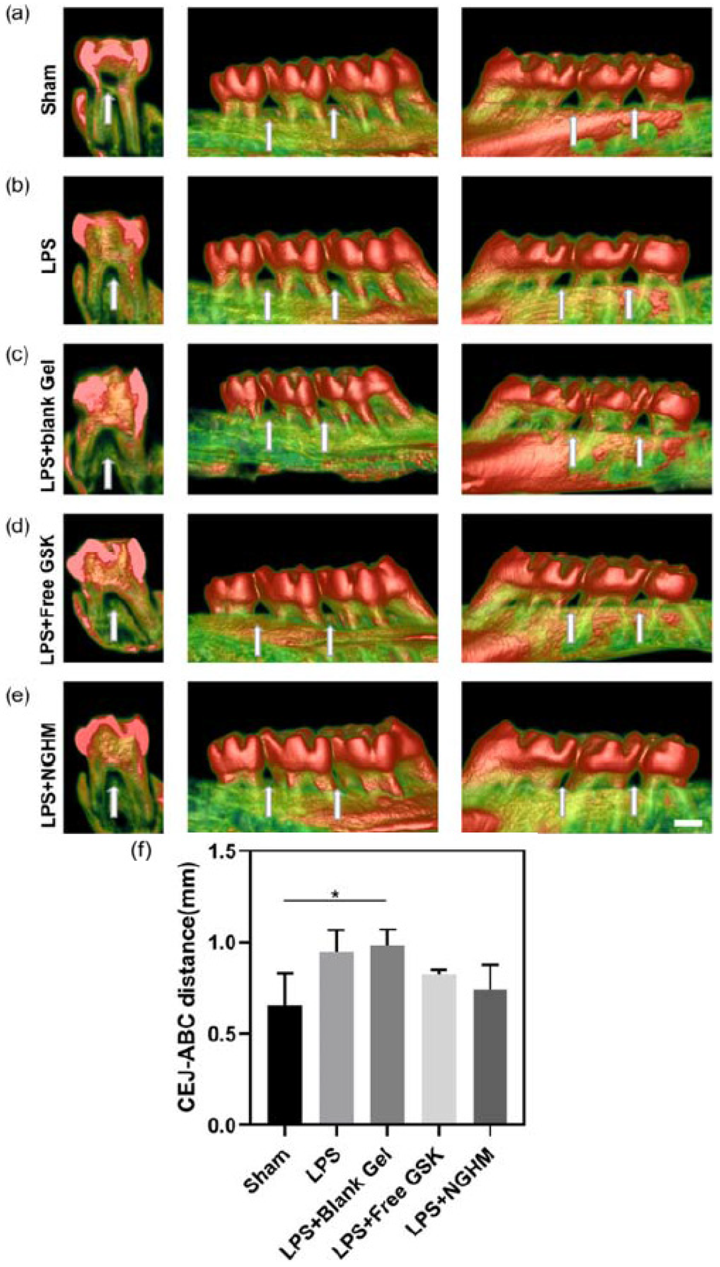 Pharmaceutics 17 01256 g010