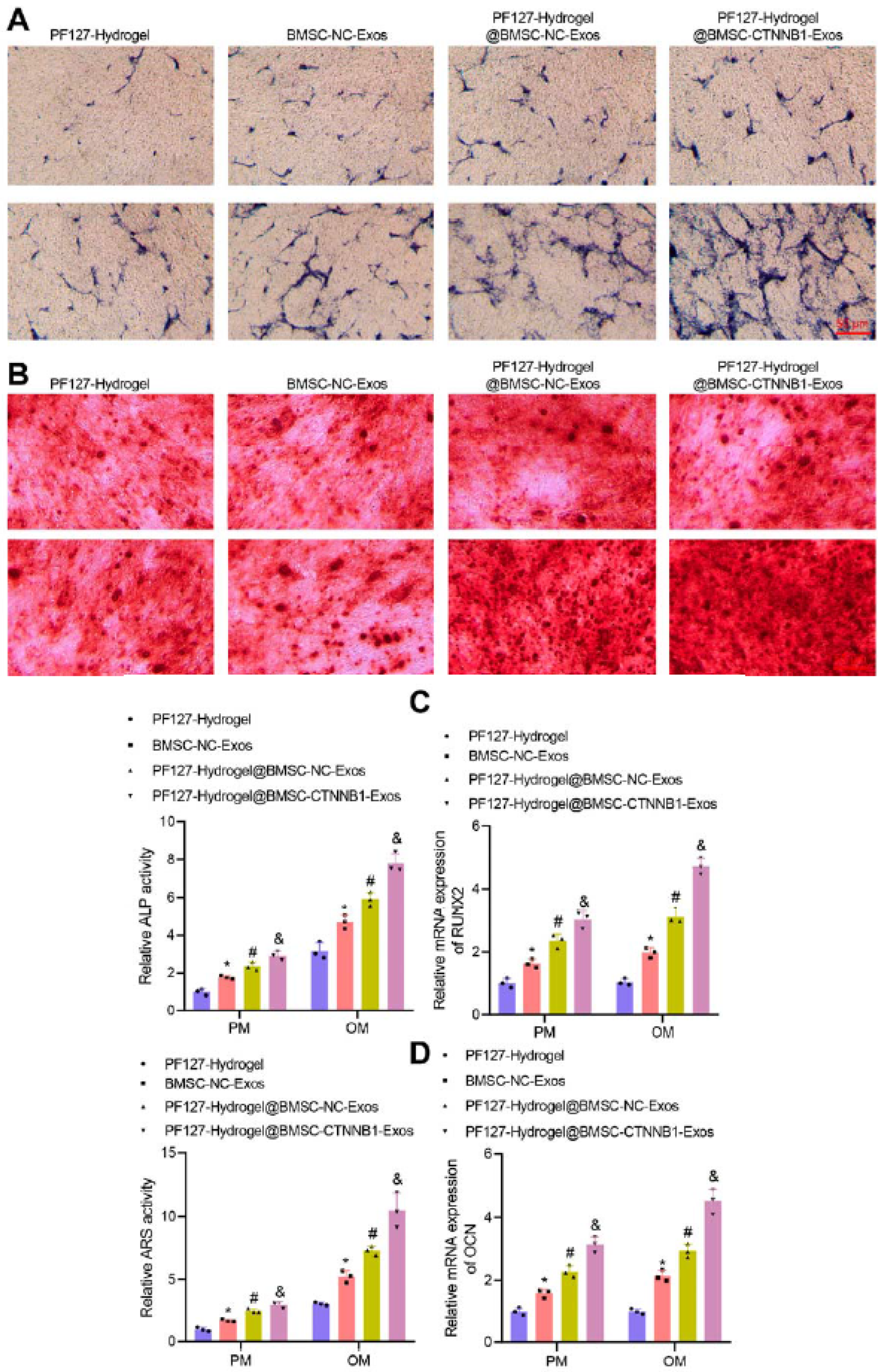 Pharmaceutics 17 01256 g011