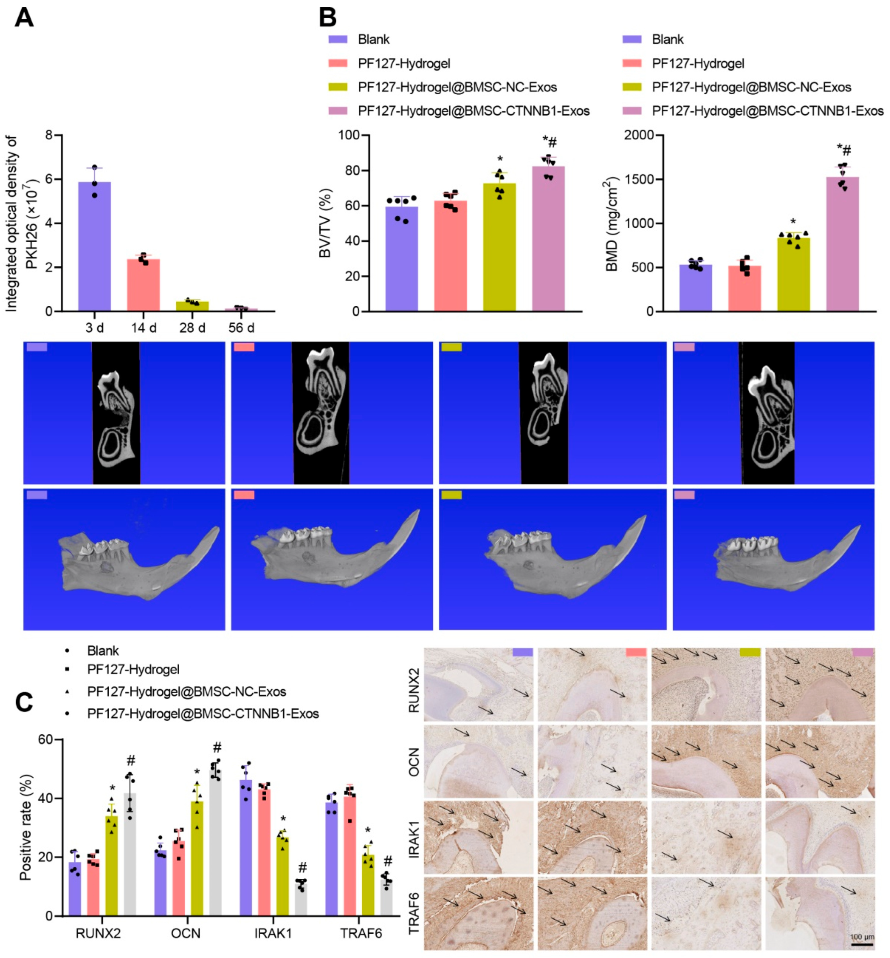 Pharmaceutics 17 01256 g012
