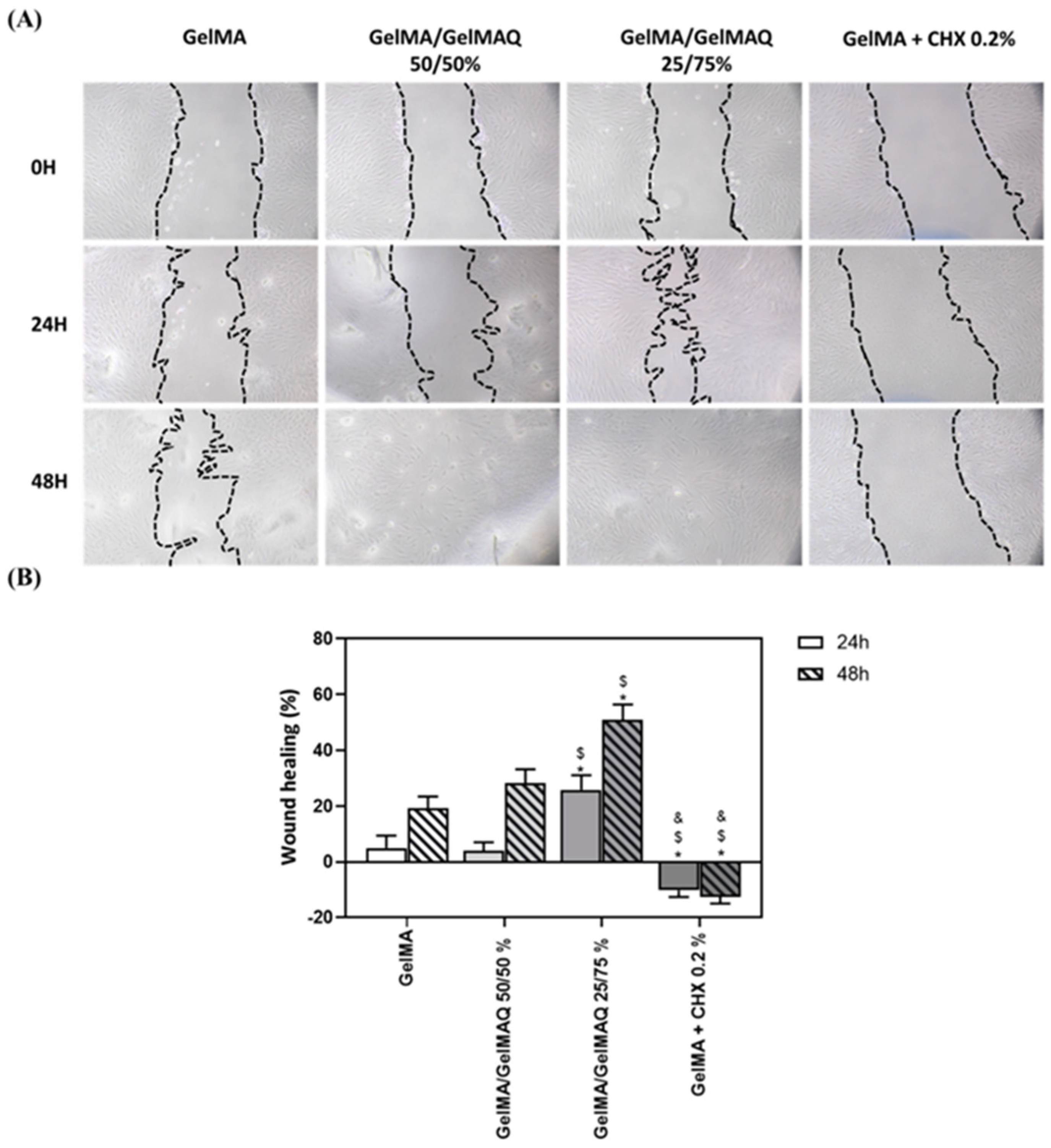Pharmaceutics 17 01256 g013