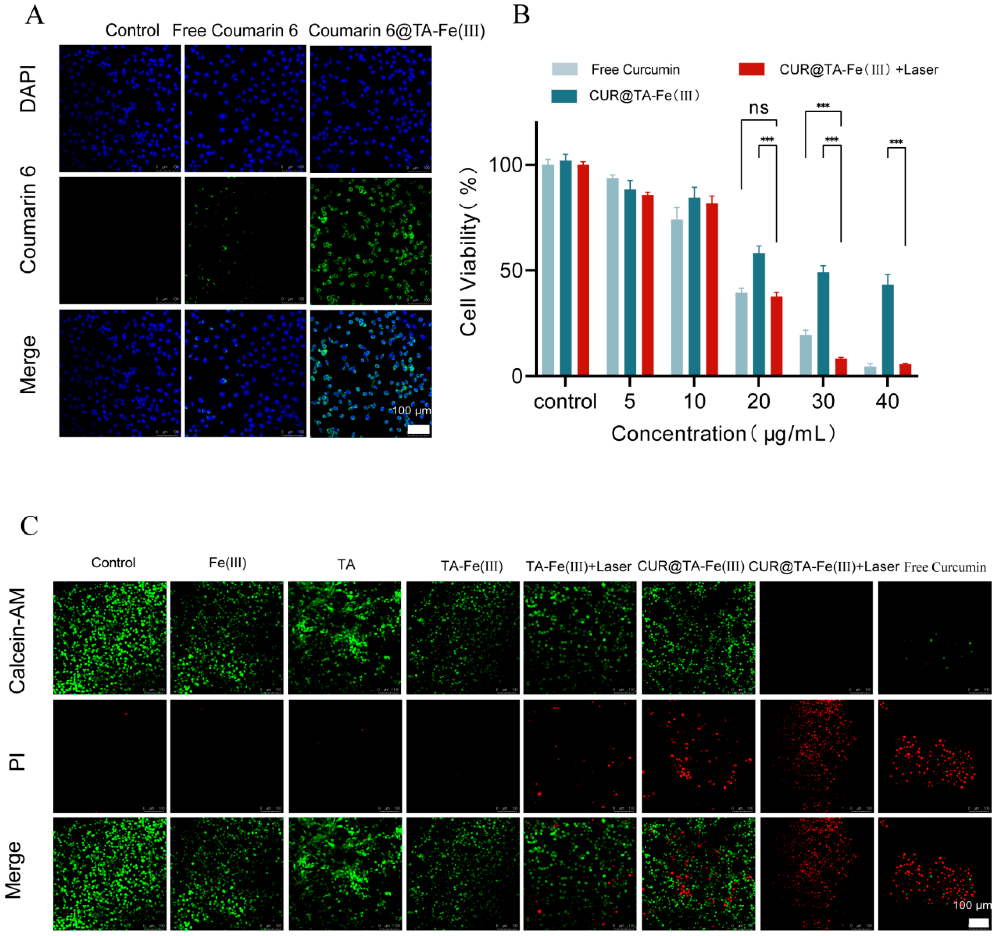 Pharmaceutics 17 01257 g004 Pharmaceutics 17 01257 g004