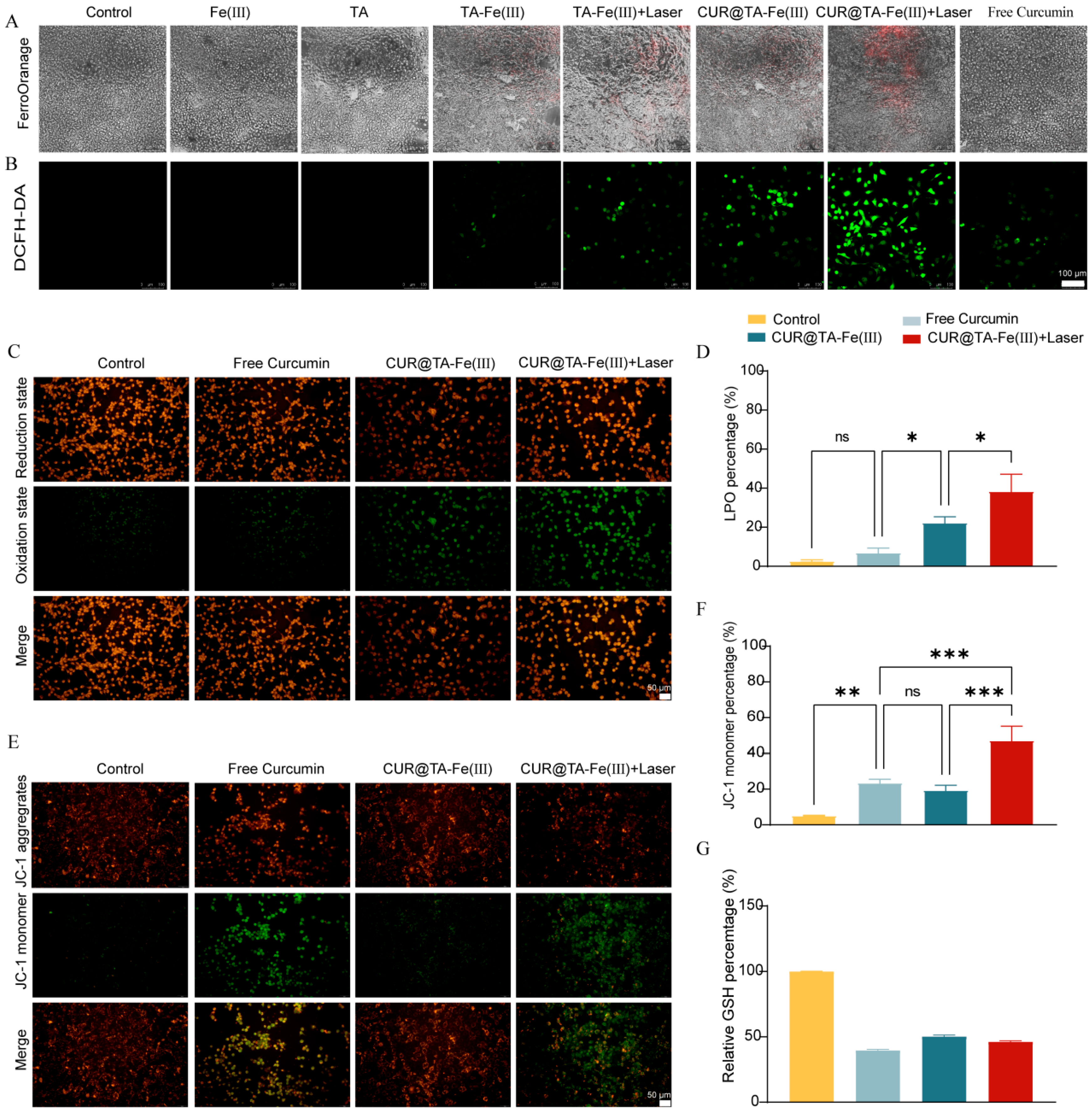 Pharmaceutics 17 01257 g005 Pharmaceutics 17 01257 g005