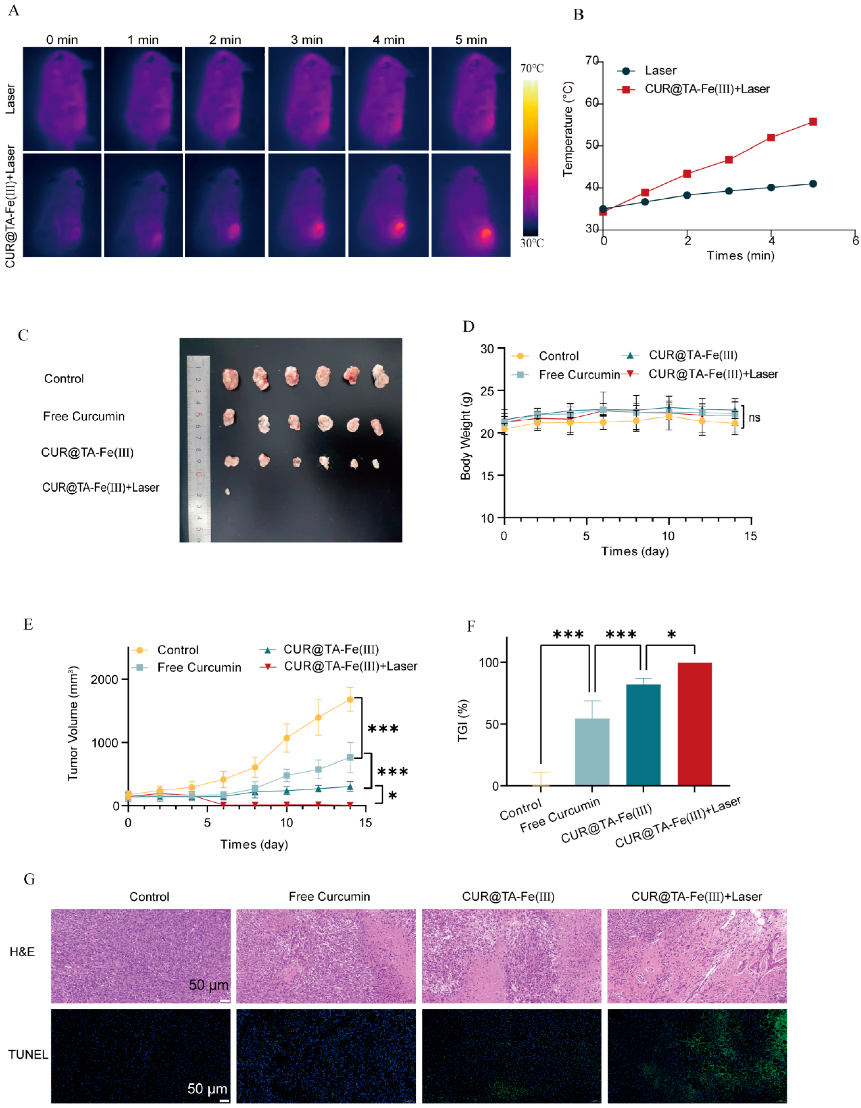 Pharmaceutics 17 01257 g006 Pharmaceutics 17 01257 g006