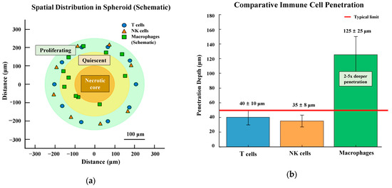 Formulation Strategies for Immunomodulatory Natural Products in 3D