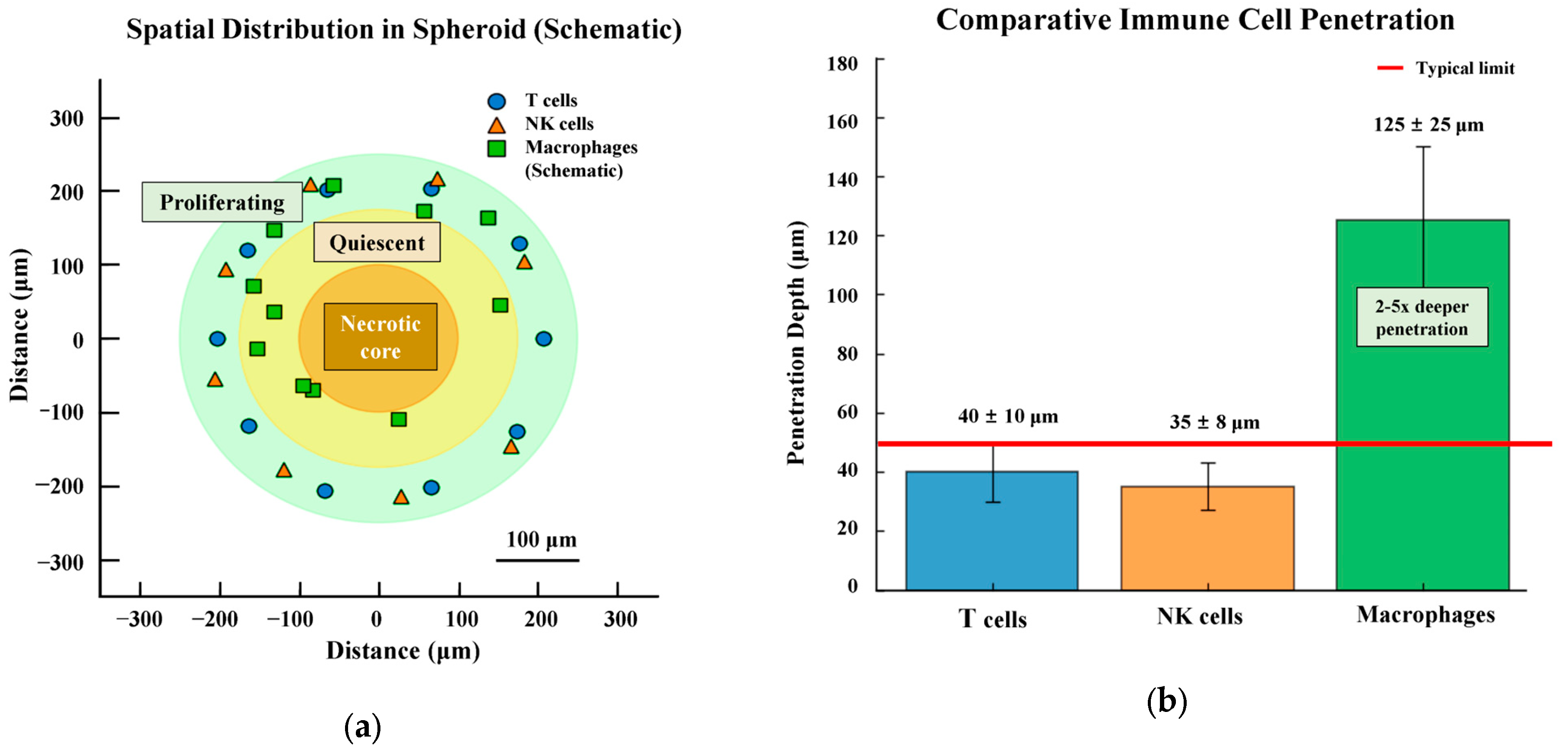 Formulation Strategies for Immunomodulatory Natural Products