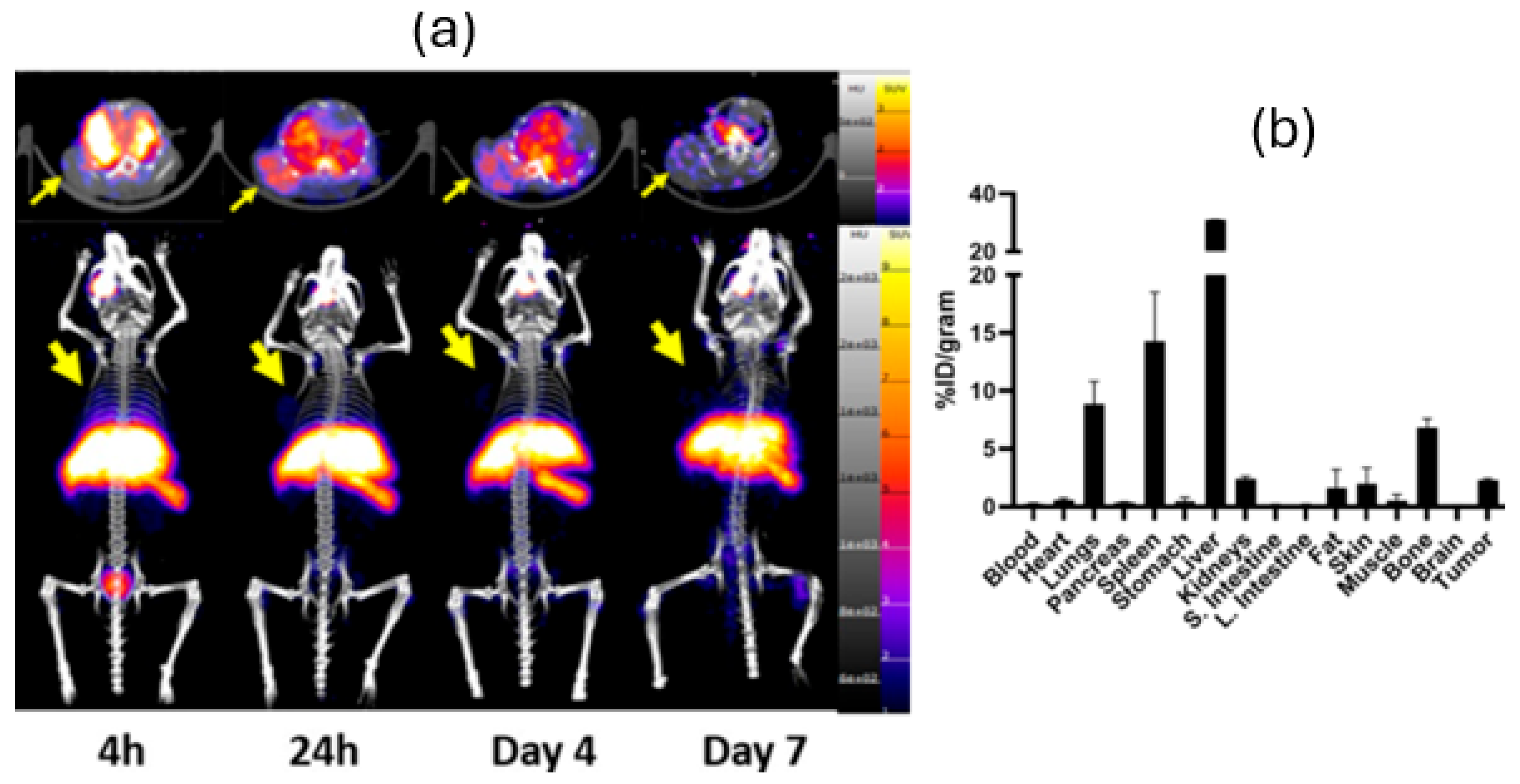 Pharmaceutics 17 01259 g002