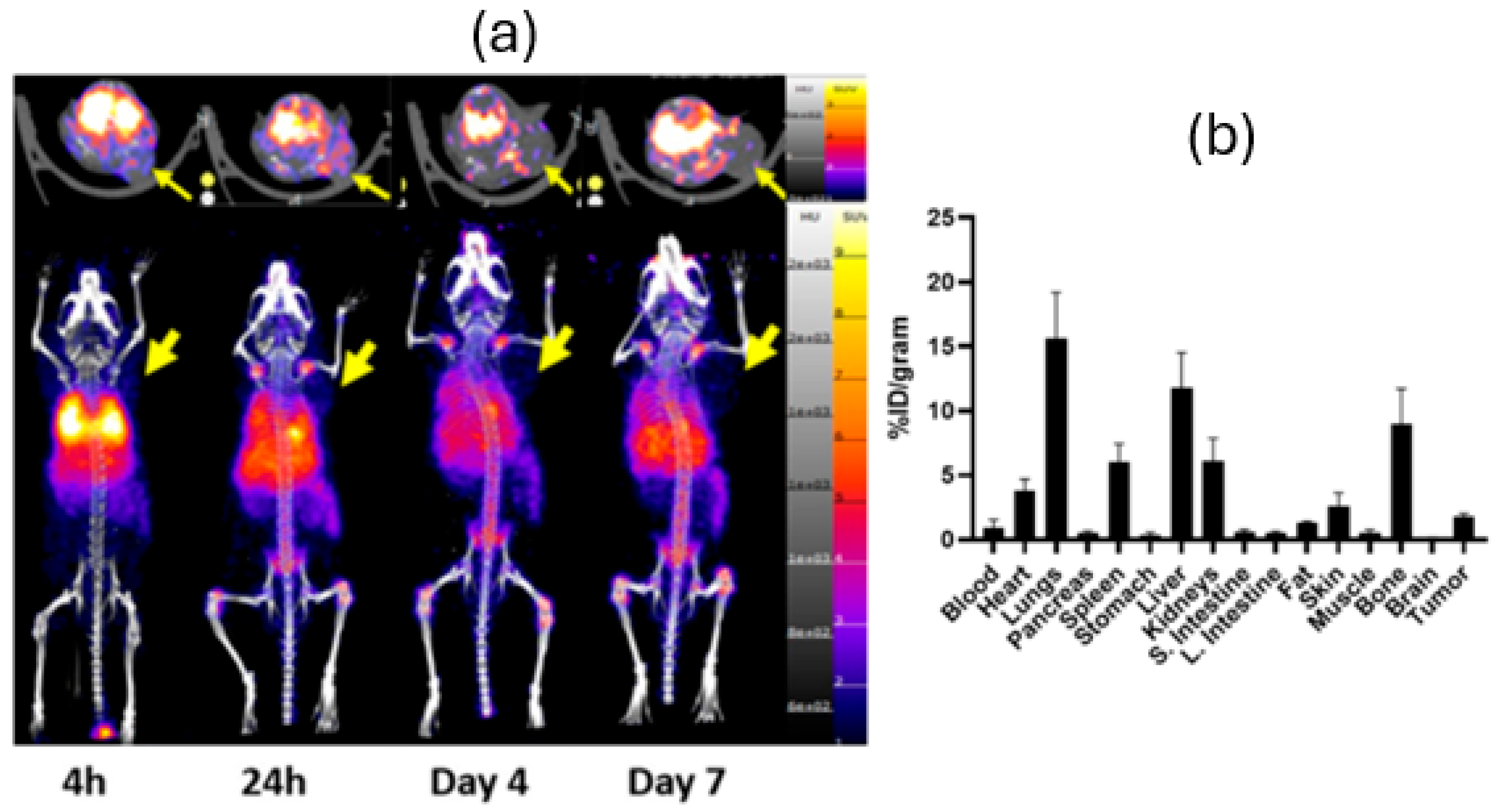 Pharmaceutics 17 01259 g003