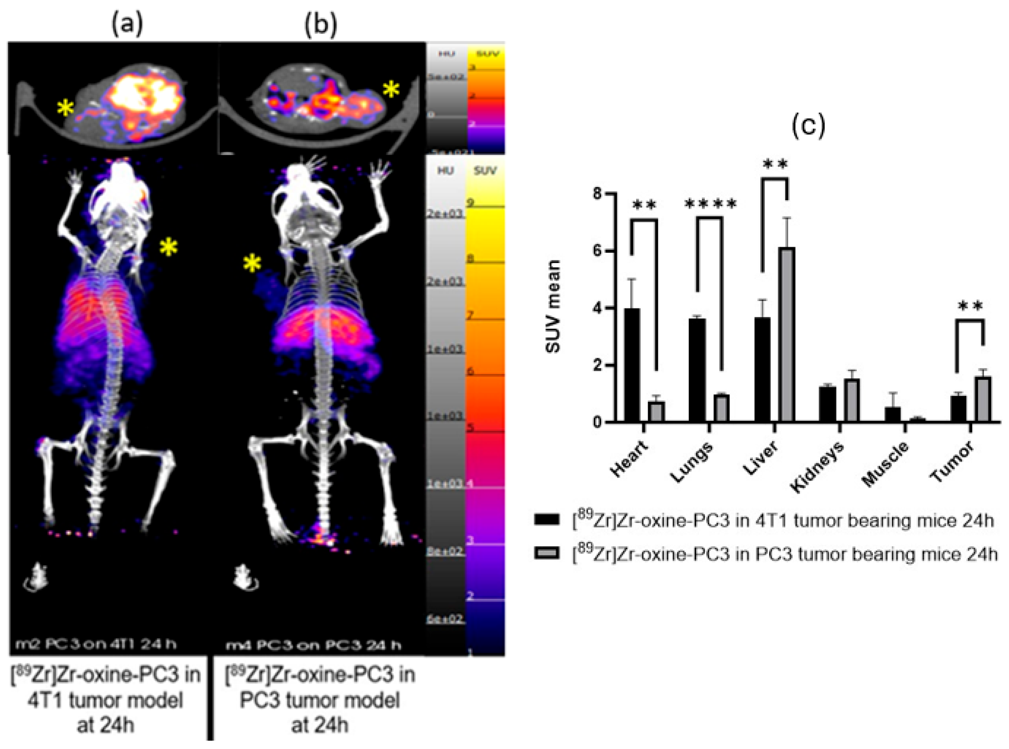 Pharmaceutics 17 01259 g004
