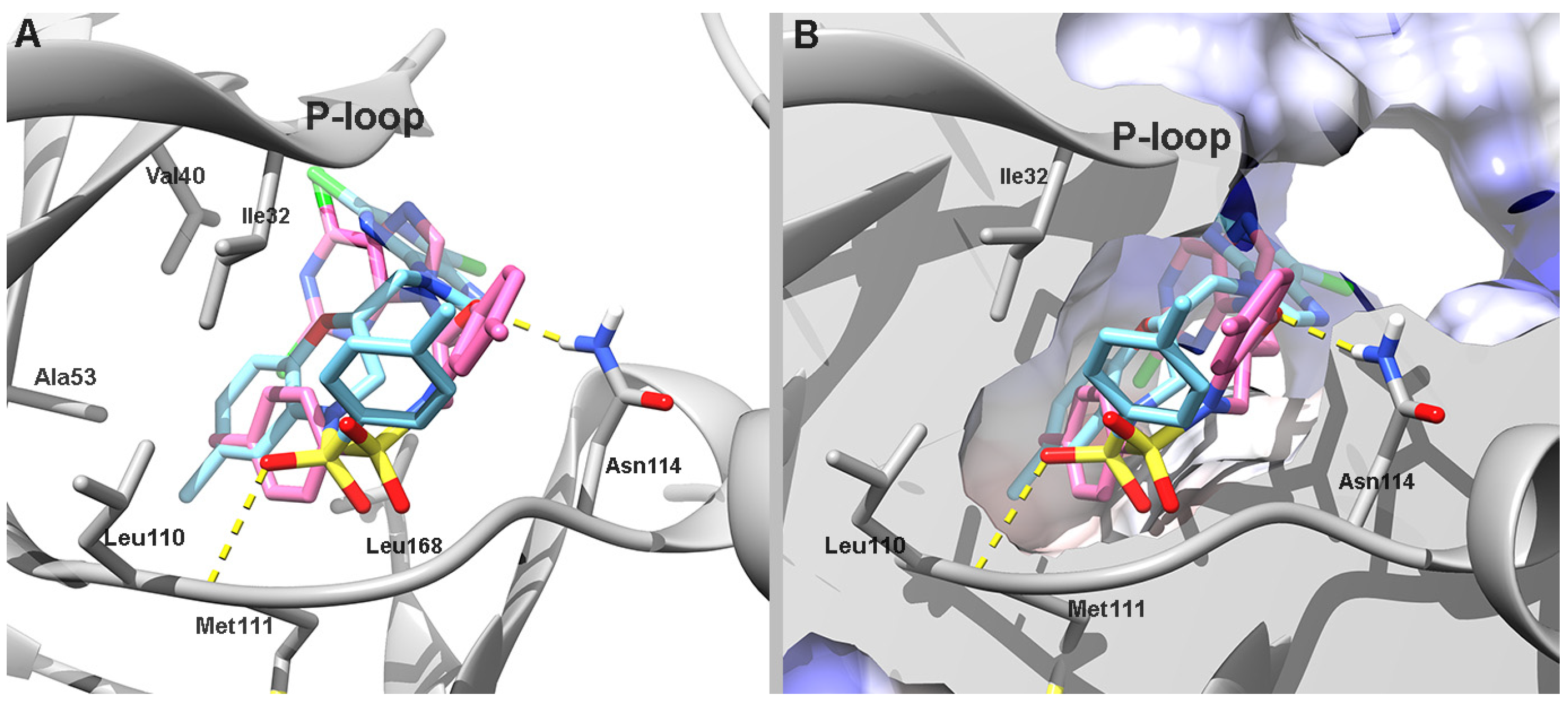 Pharmaceutics 17 01260 g004