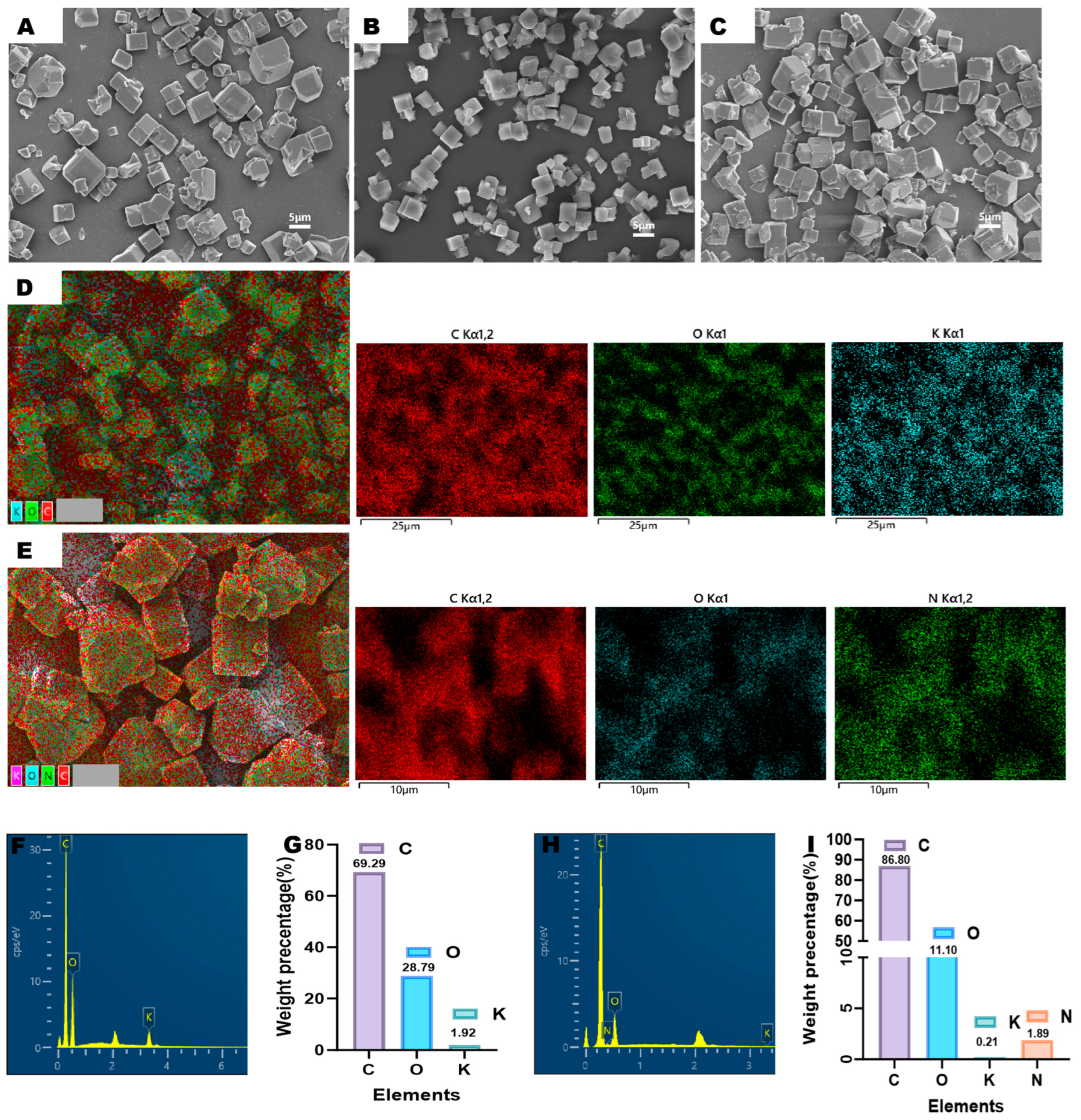 Pharmaceutics 17 01263 g001 Pharmaceutics 17 01263 g001