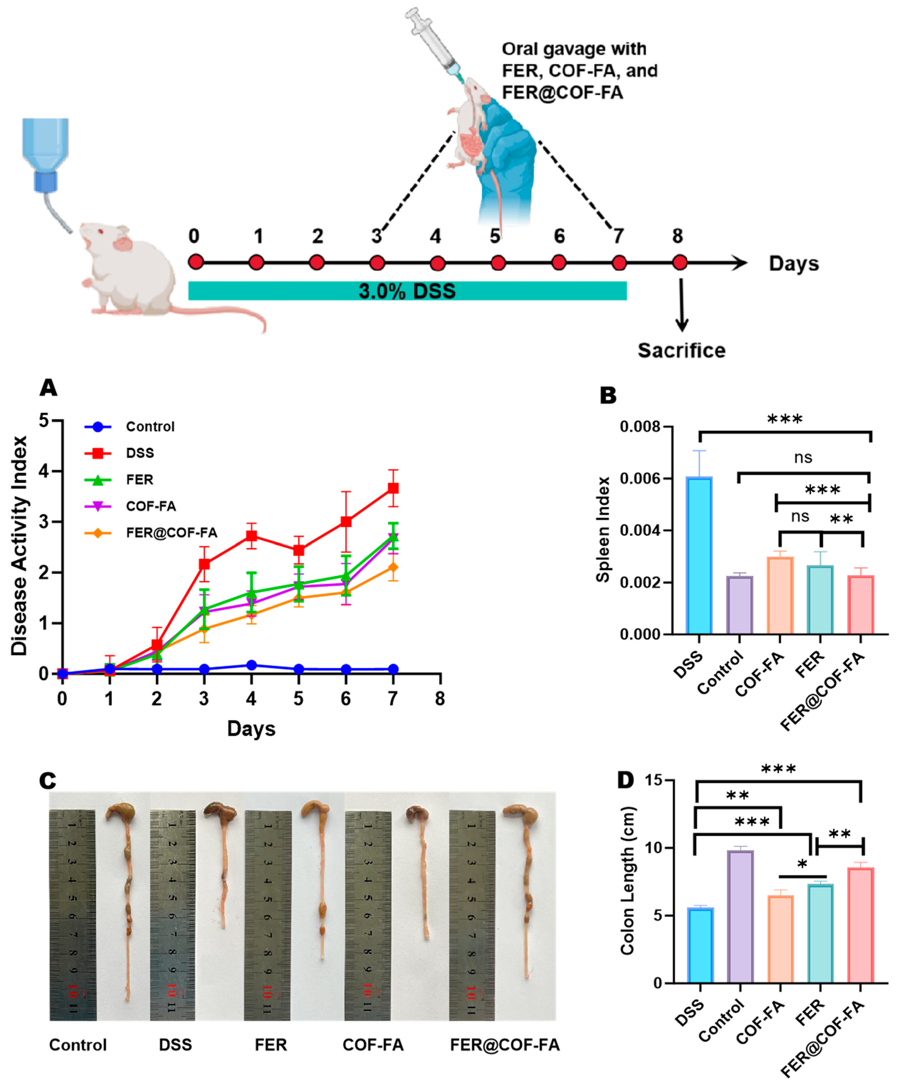Pharmaceutics 17 01263 g004 Pharmaceutics 17 01263 g004