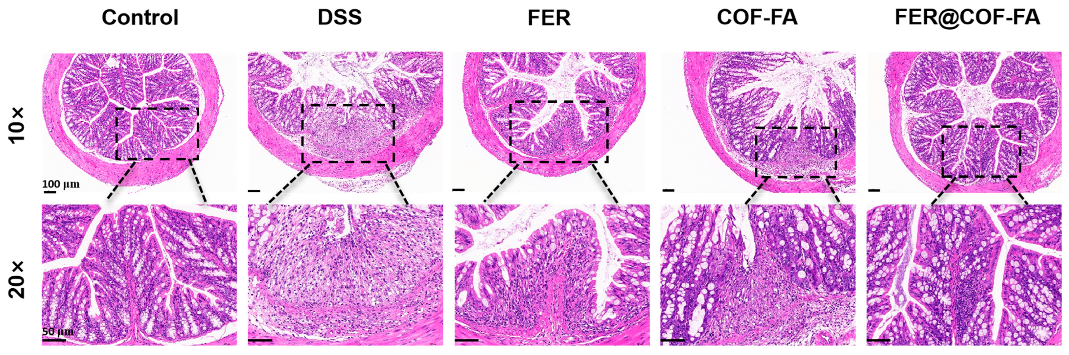 Pharmaceutics 17 01263 g005 Pharmaceutics 17 01263 g005