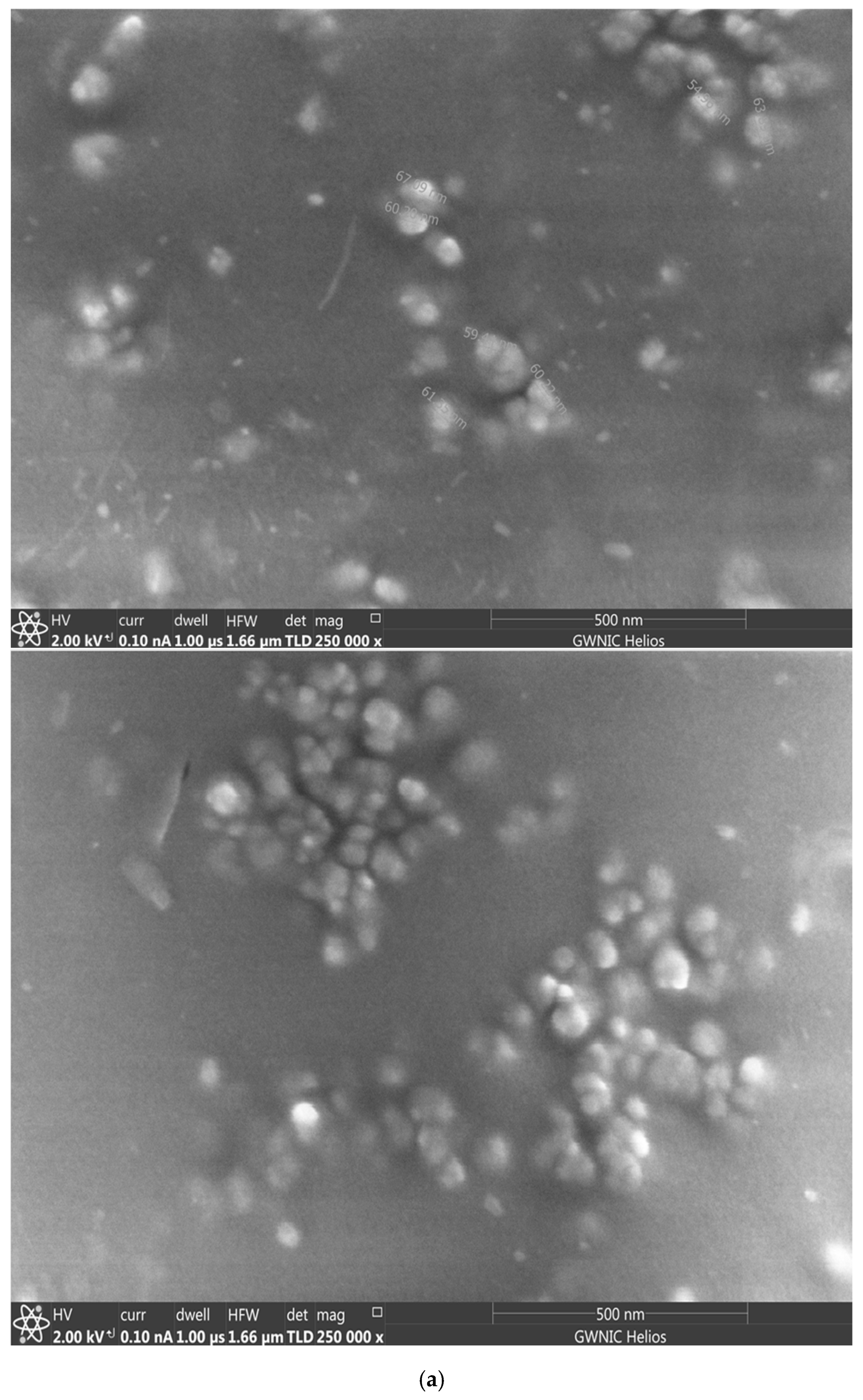 Pharmaceutics 17 01265 g002a Pharmaceutics 17 01265 g002a