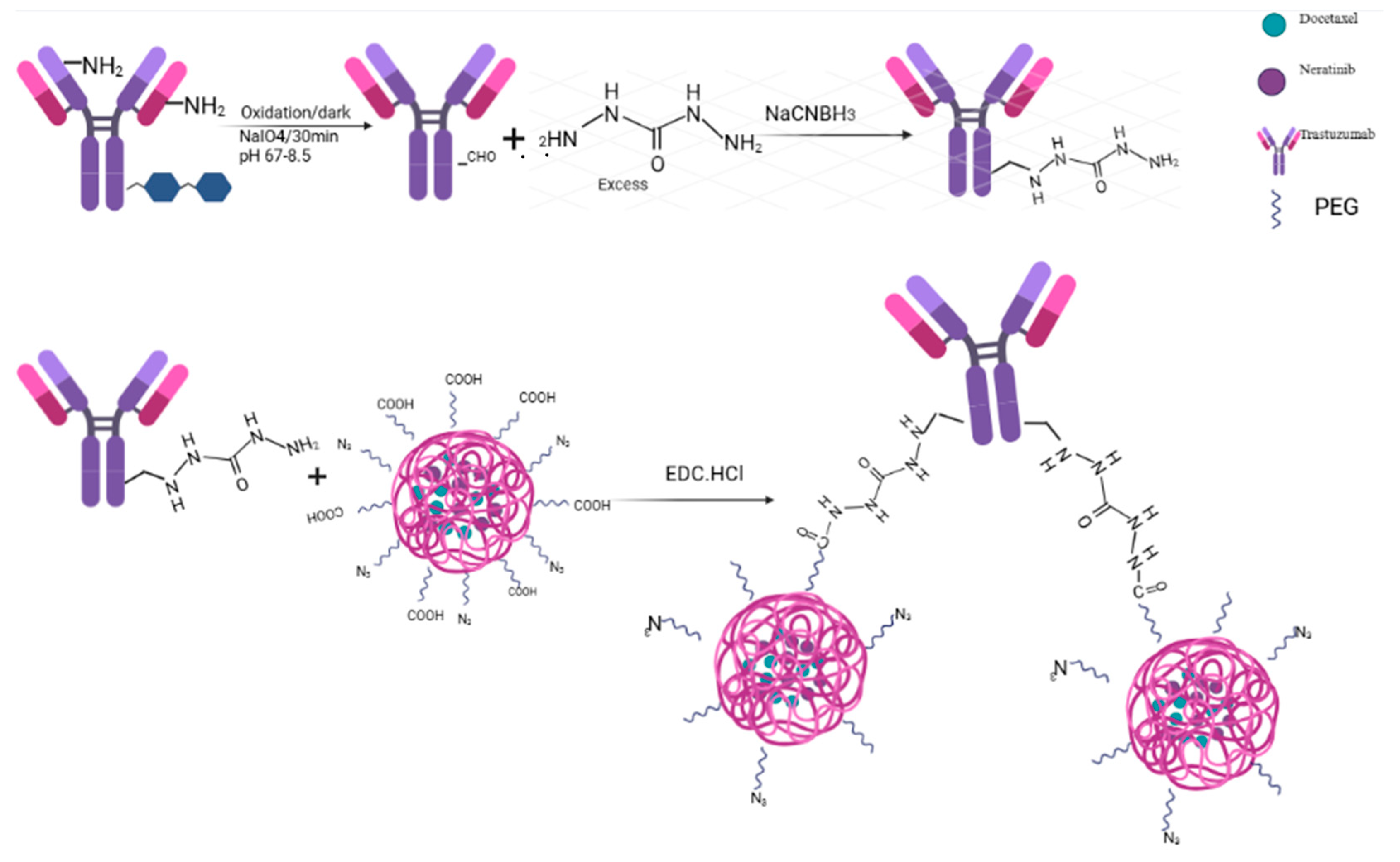 Pharmaceutics 17 01265 g003 Pharmaceutics 17 01265 g003