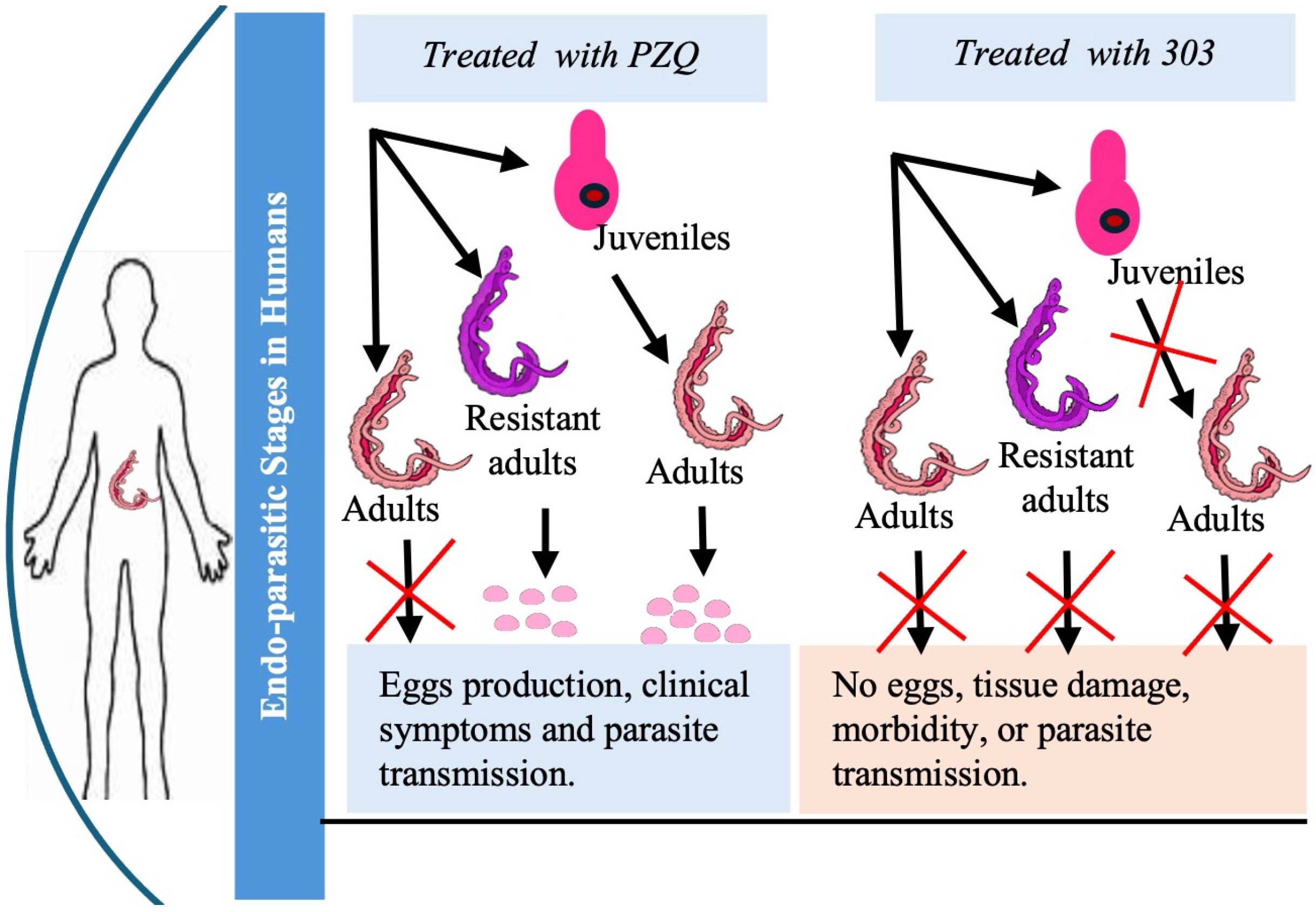 Pharmaceutics 17 01268 g001 Pharmaceutics 17 01268 g001