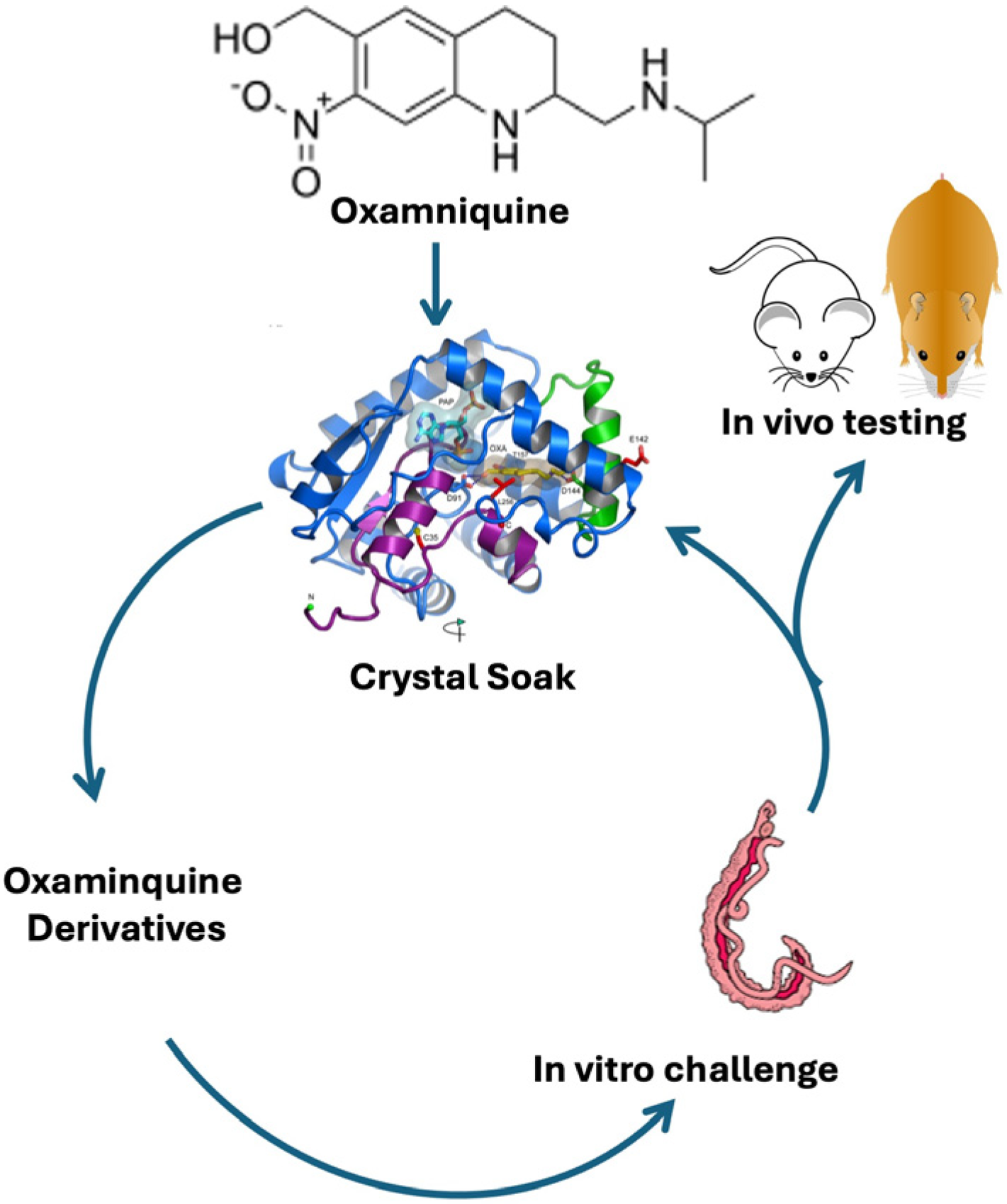 Pharmaceutics 17 01268 g003 Pharmaceutics 17 01268 g003