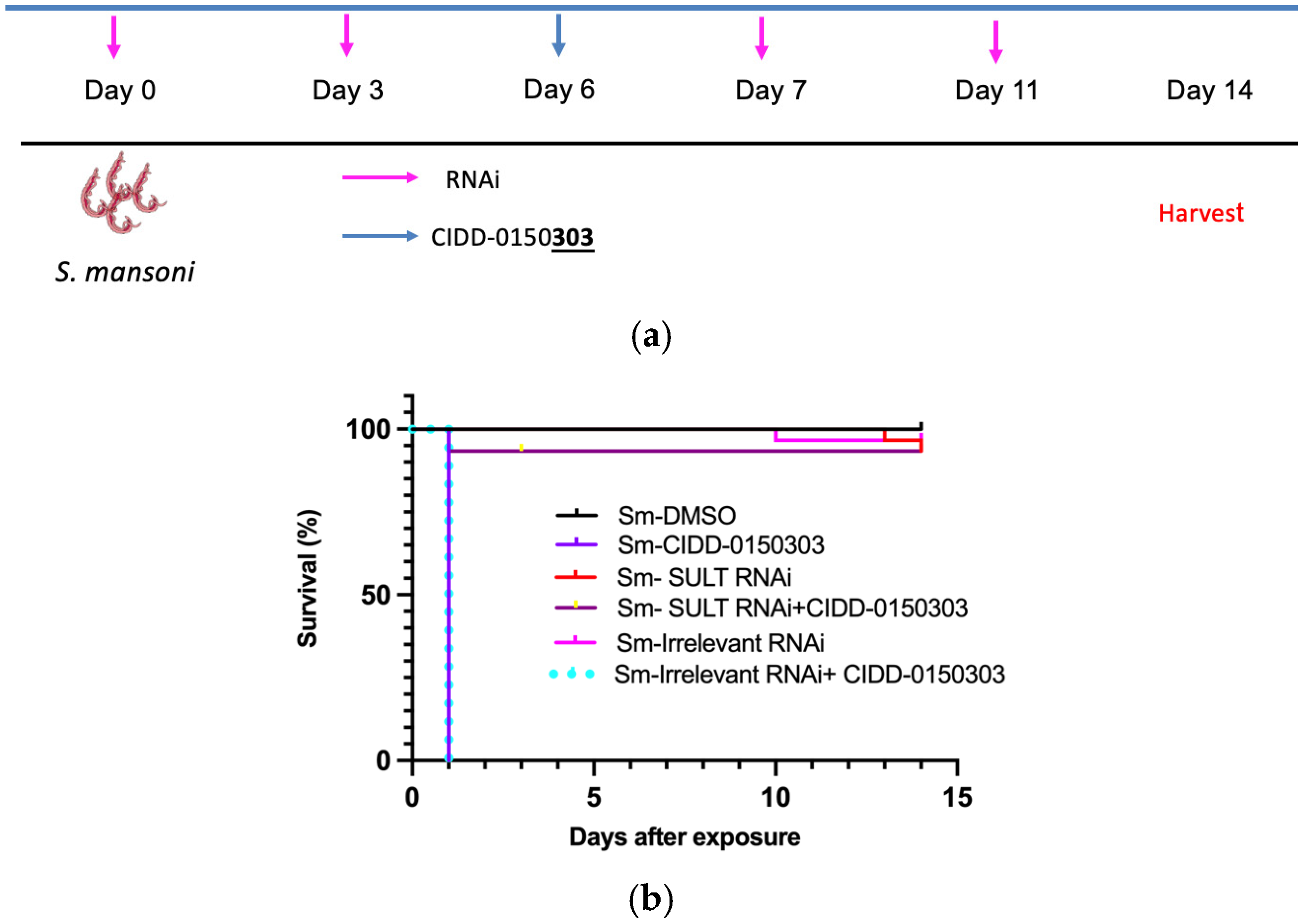 Pharmaceutics 17 01268 g011 Pharmaceutics 17 01268 g011