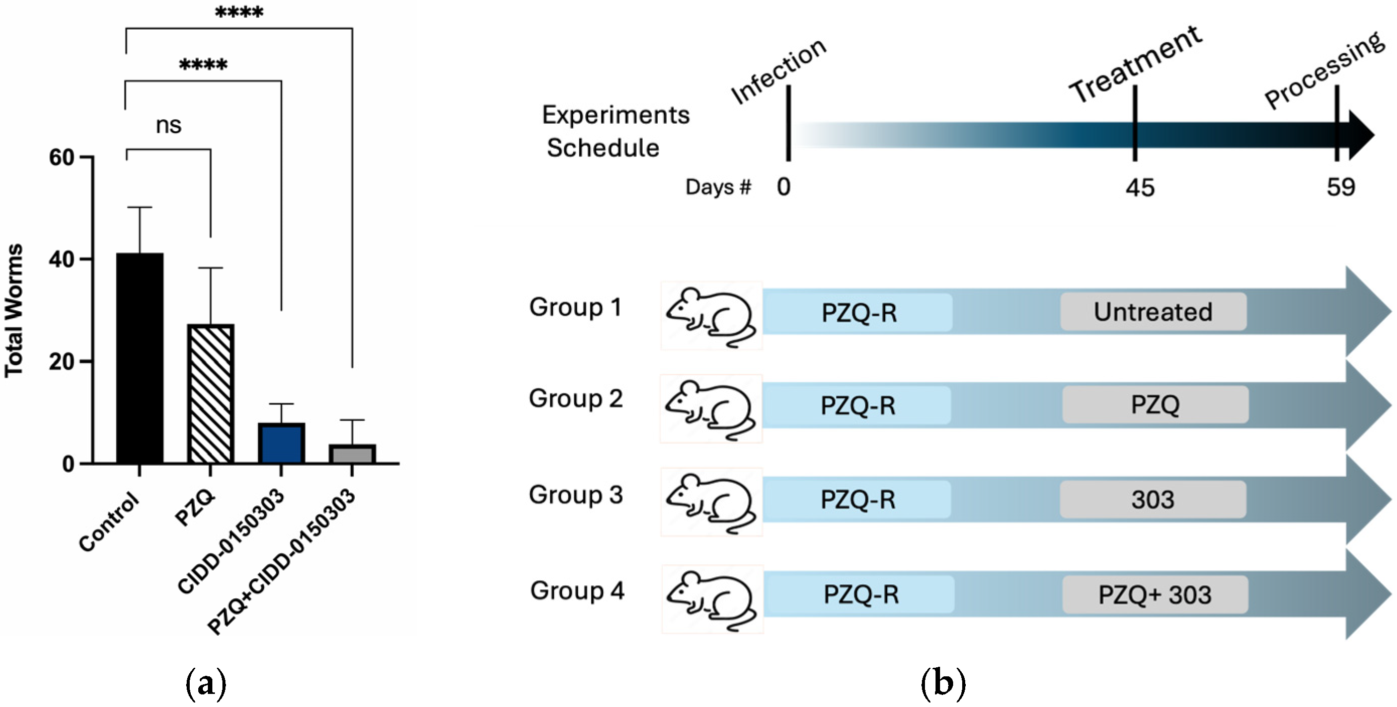 Pharmaceutics 17 01268 g013 Pharmaceutics 17 01268 g013