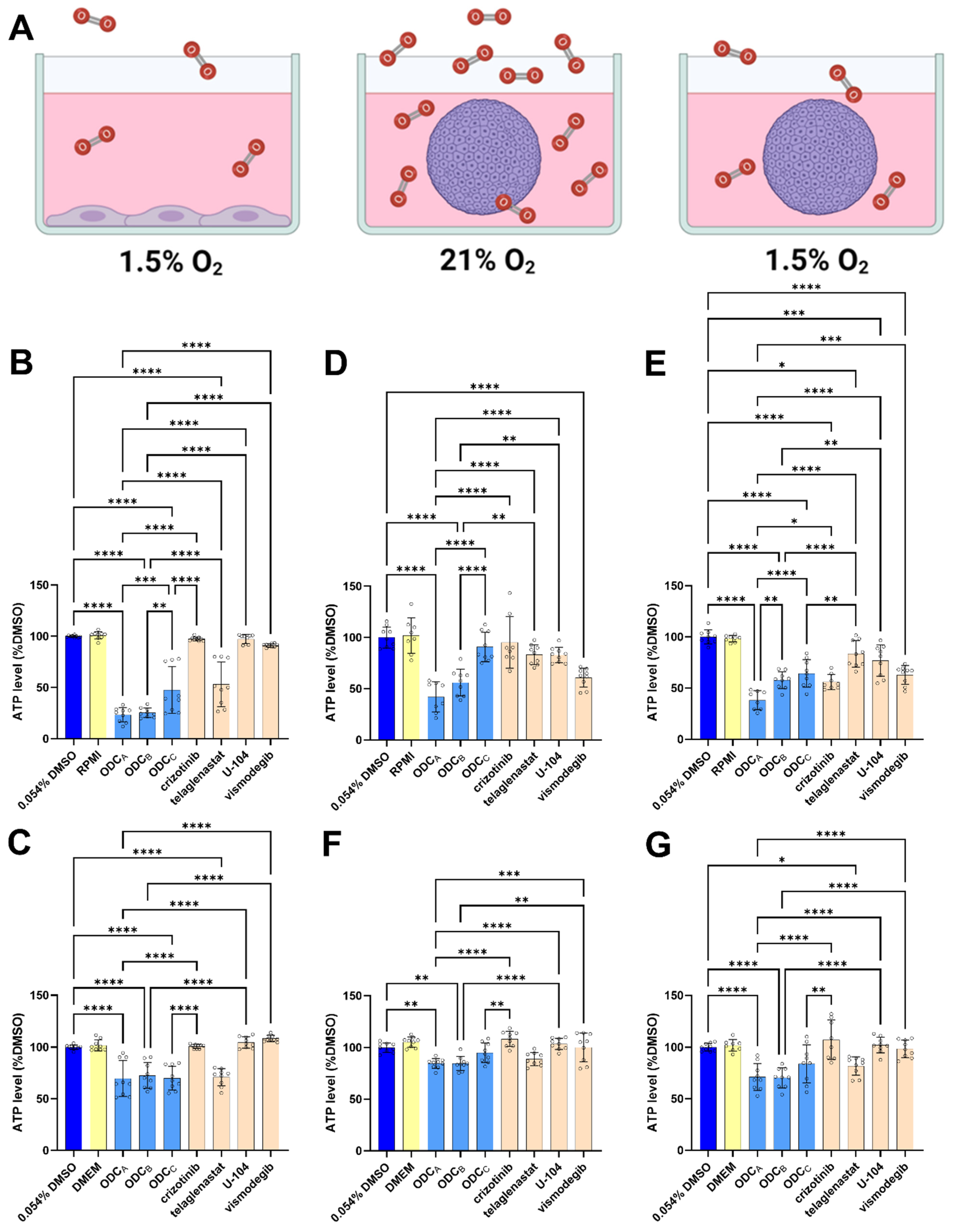 Pharmaceutics 17 01269 g003 Pharmaceutics 17 01269 g003