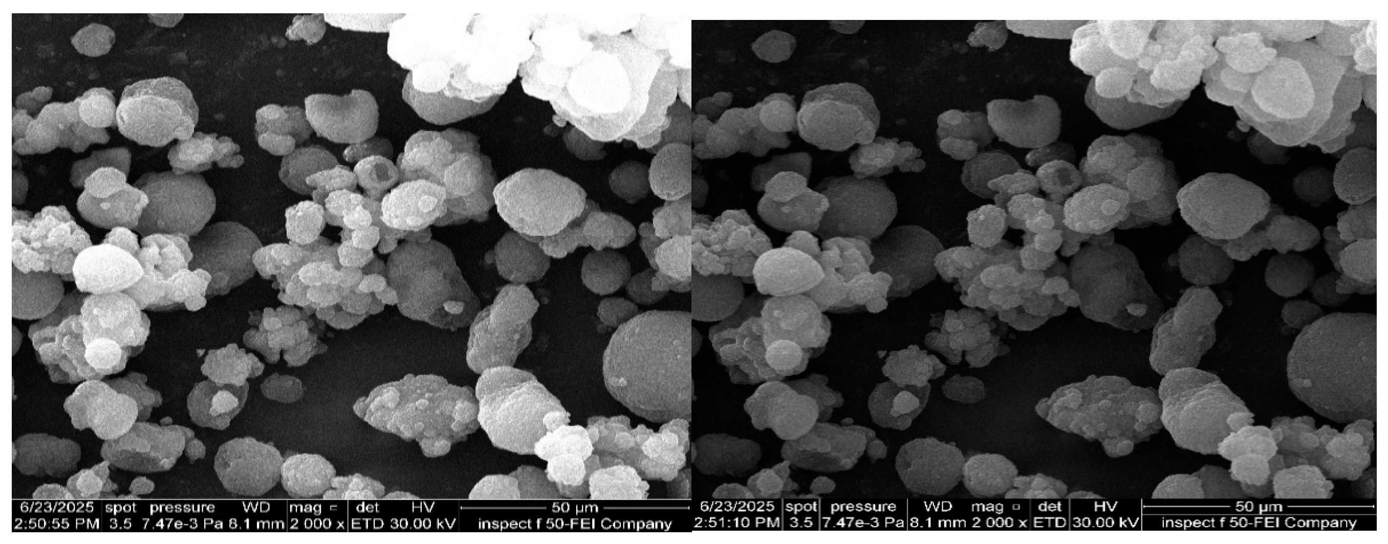 Pharmaceutics 17 01270 g008