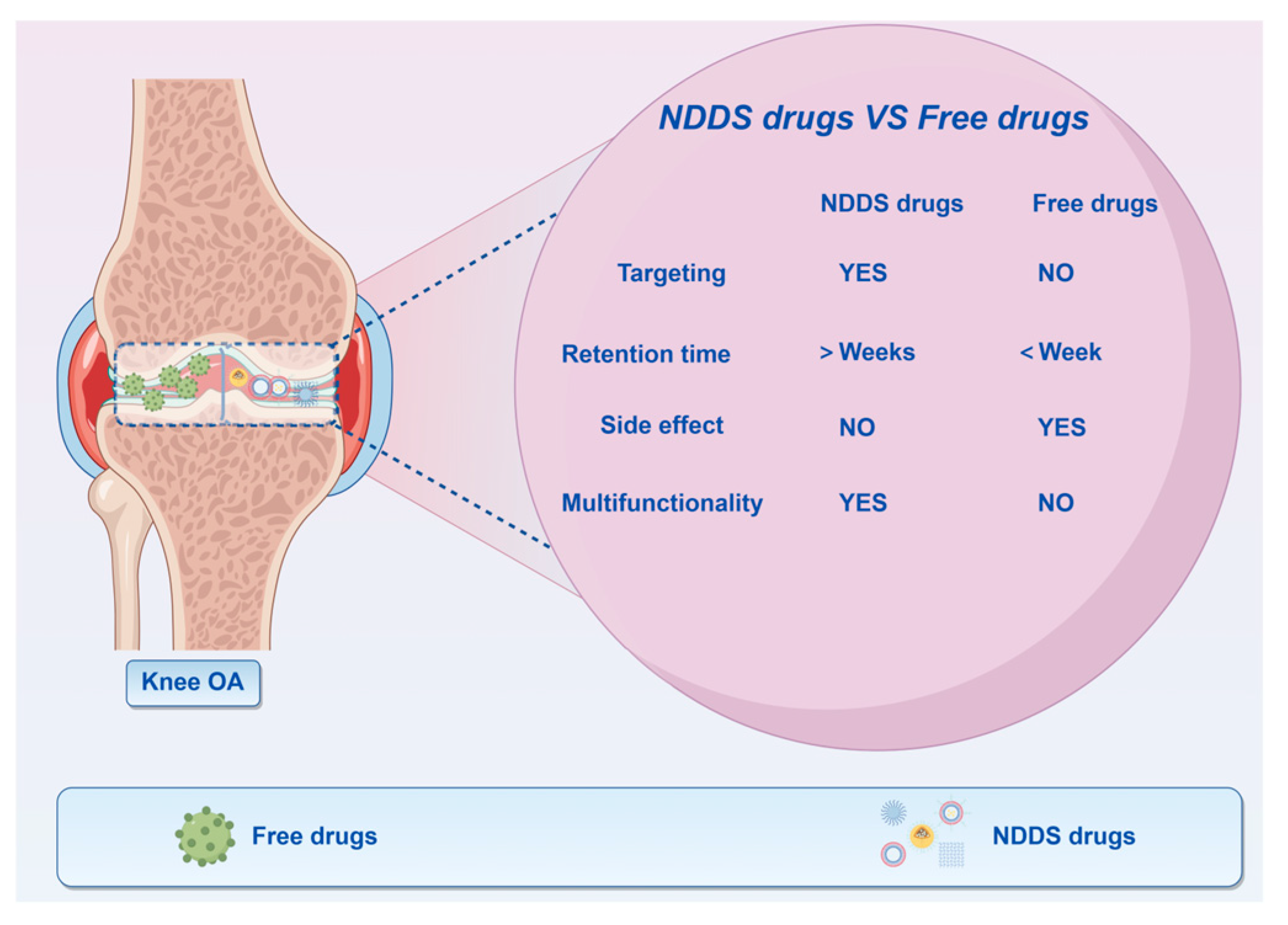 Pharmaceutics 17 01272 g002