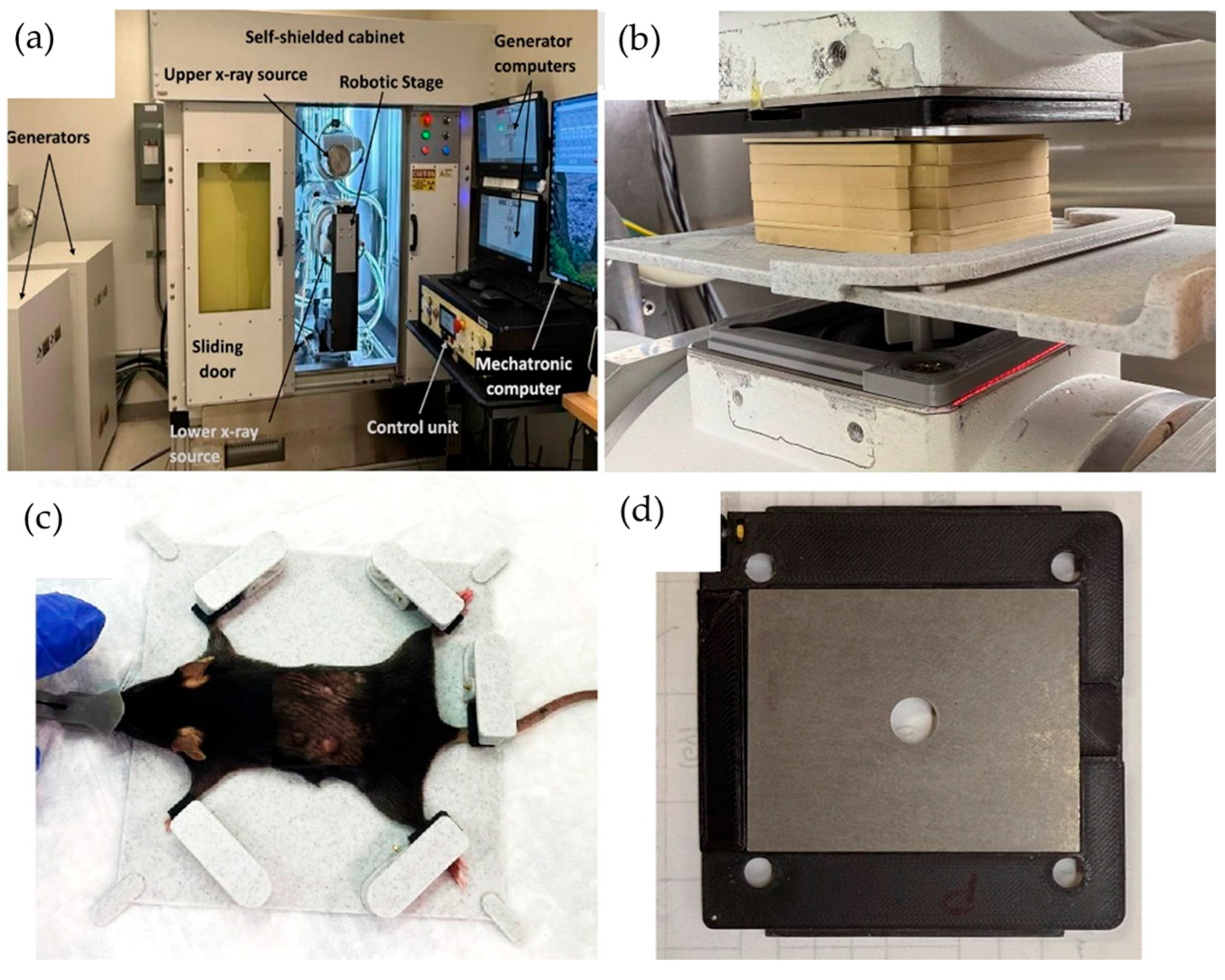 Pharmaceutics 17 01273 g001