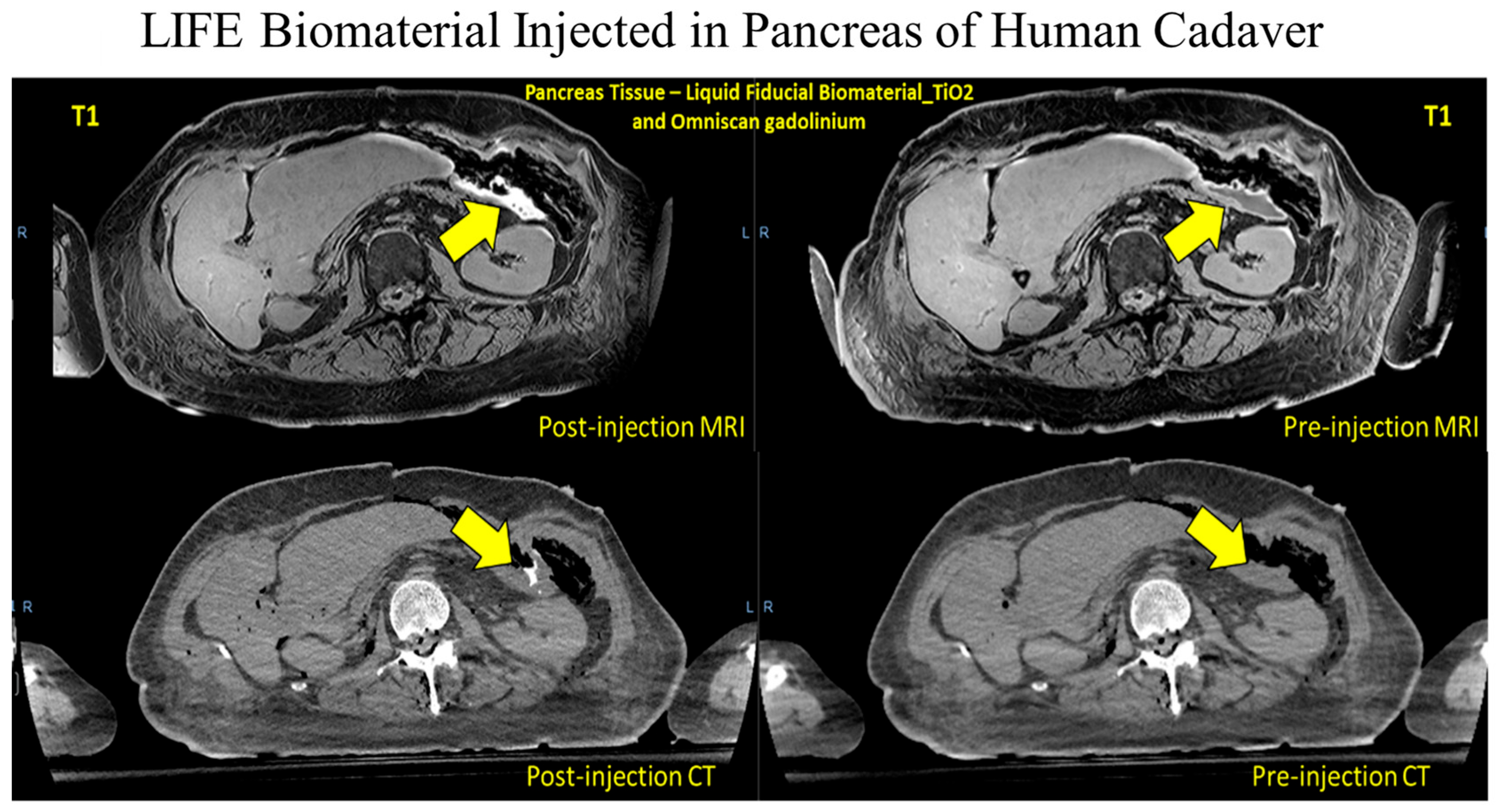 Pharmaceutics 17 01273 g003