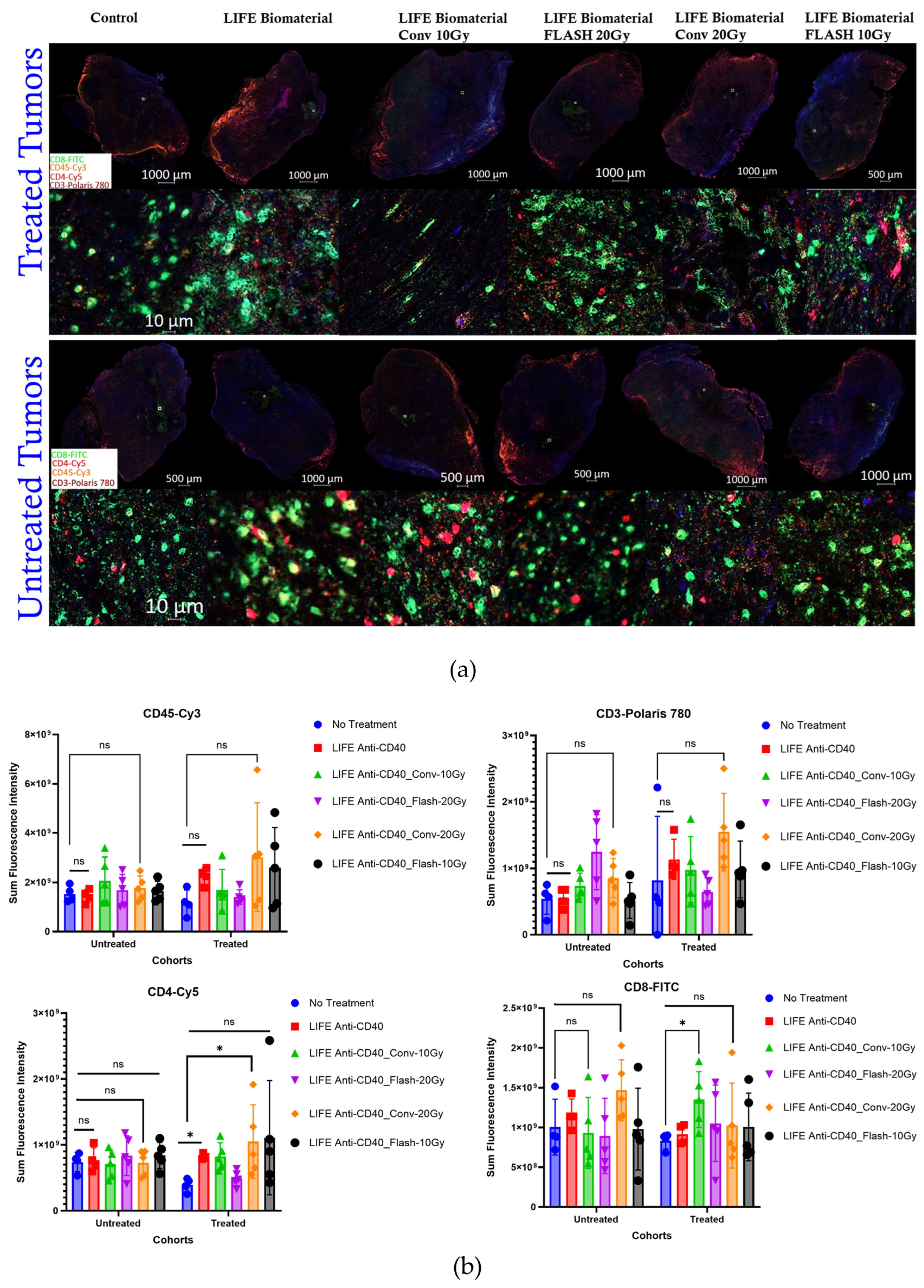 Pharmaceutics 17 01273 g005