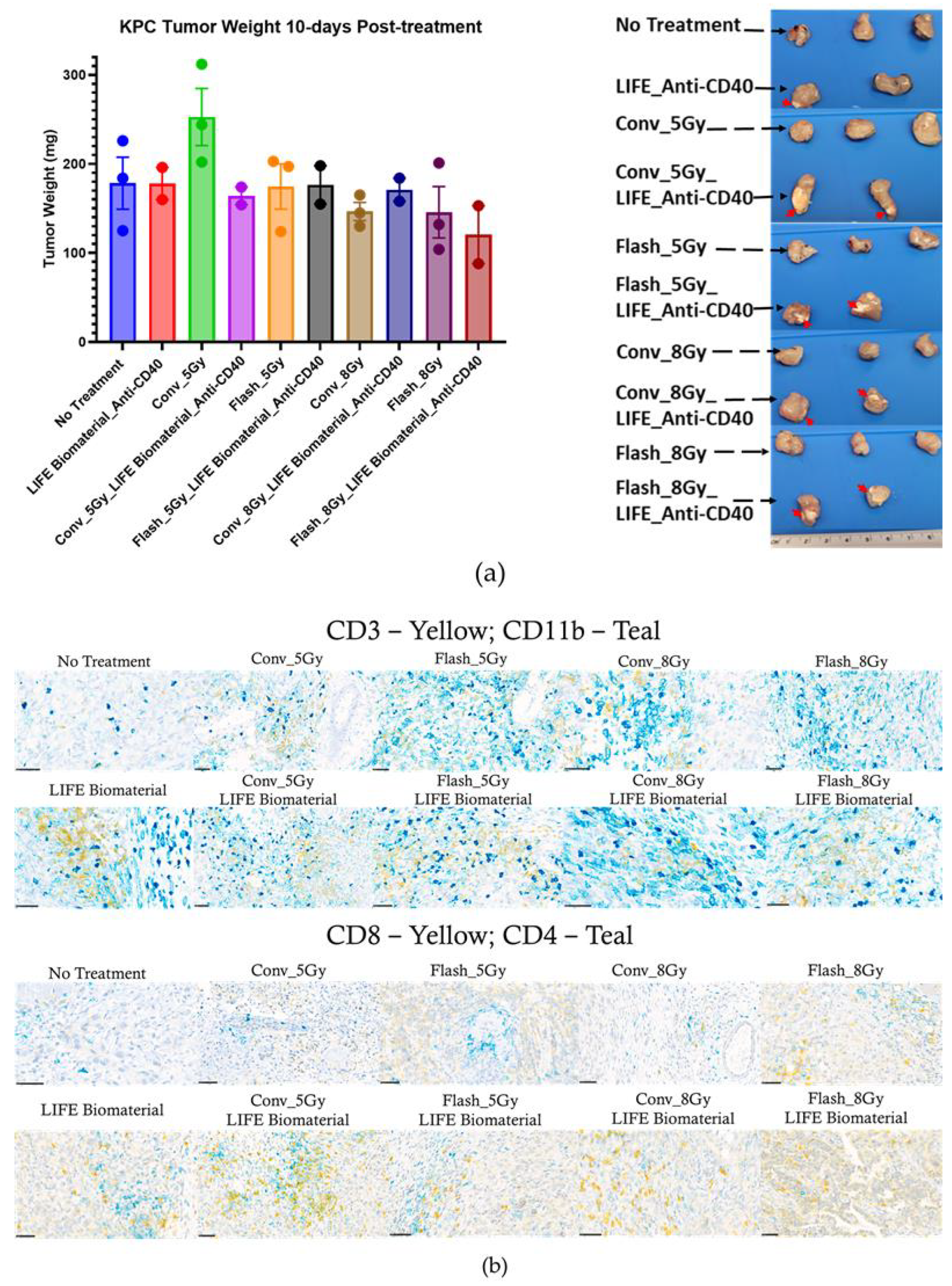 Pharmaceutics 17 01273 g006a