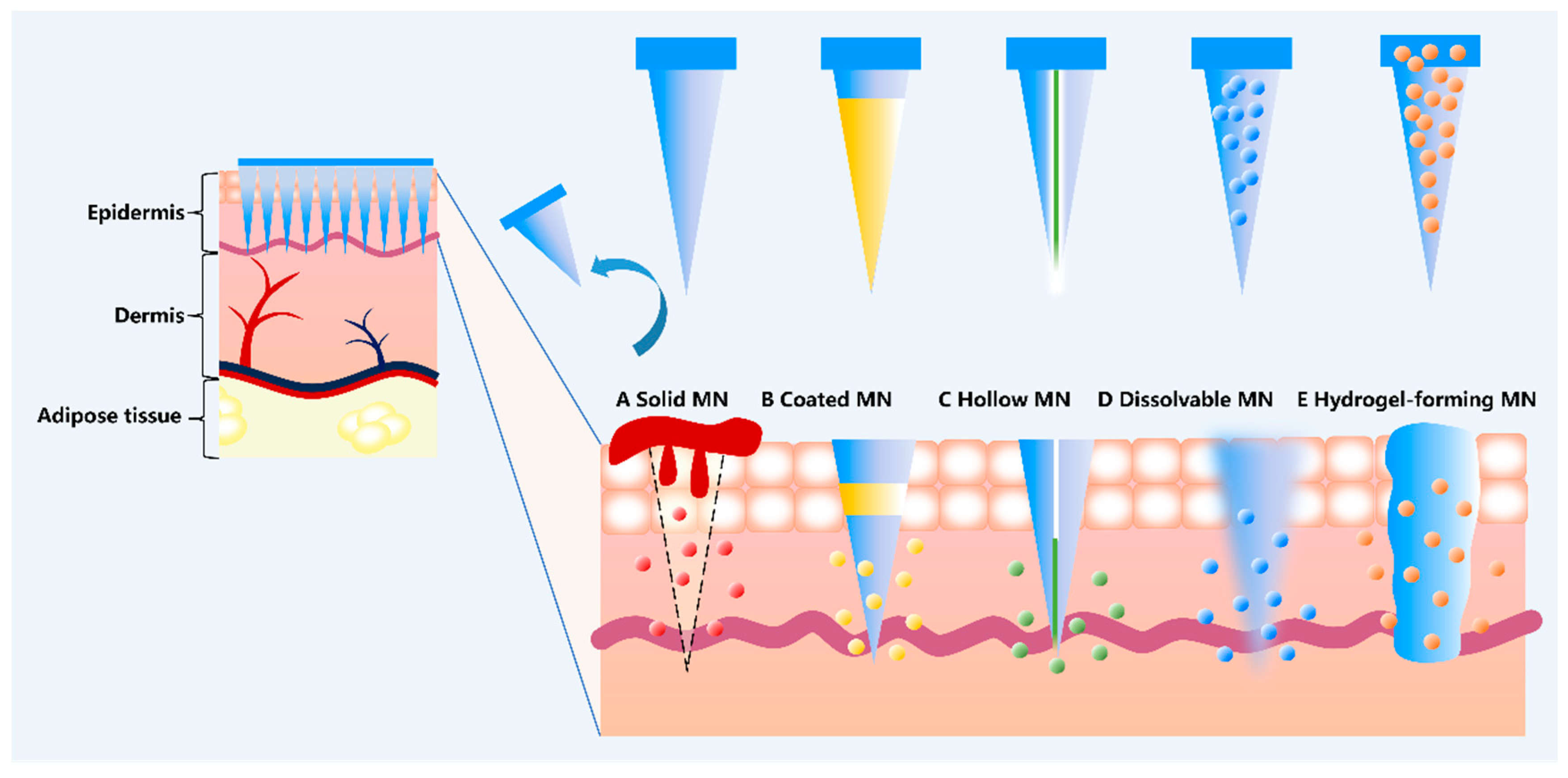 Pharmaceutics 17 01281 g001