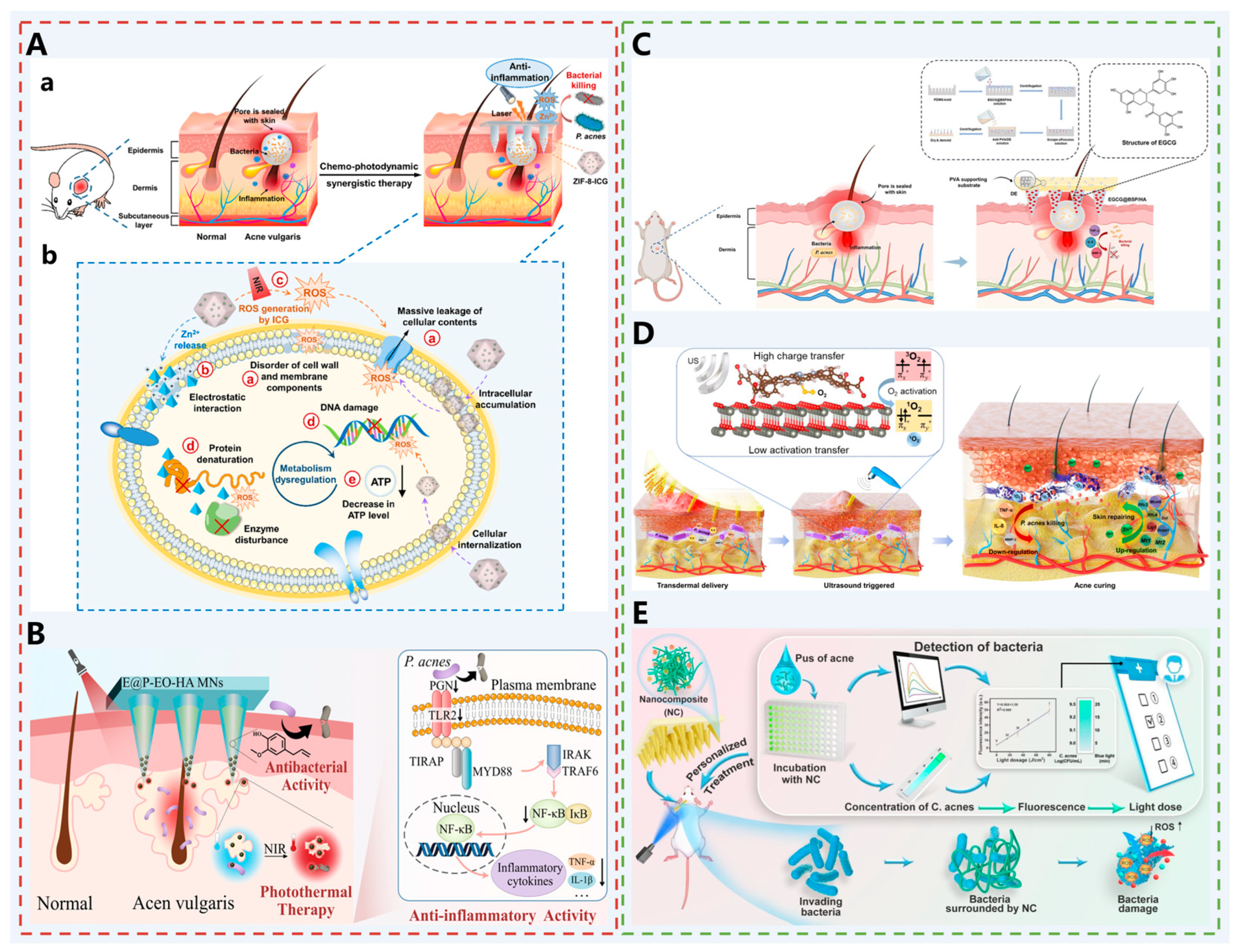 Pharmaceutics 17 01281 g004