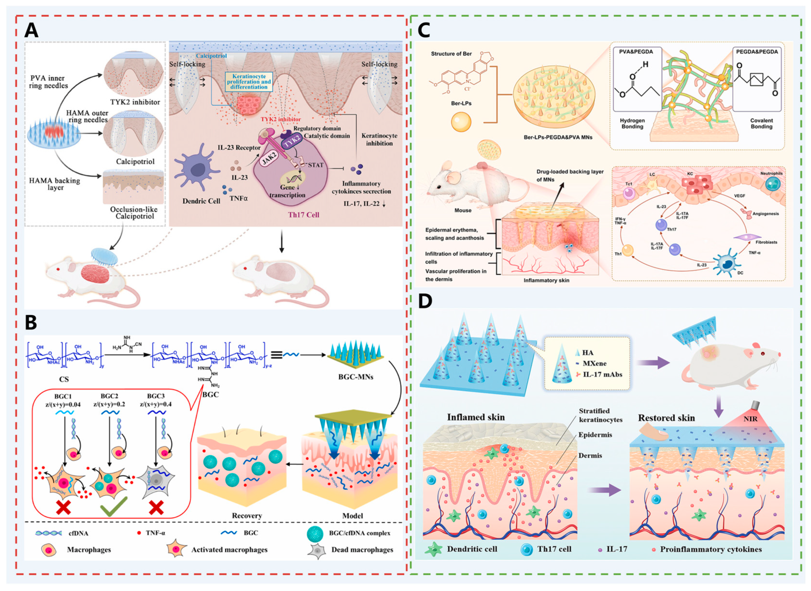 Pharmaceutics 17 01281 g007
