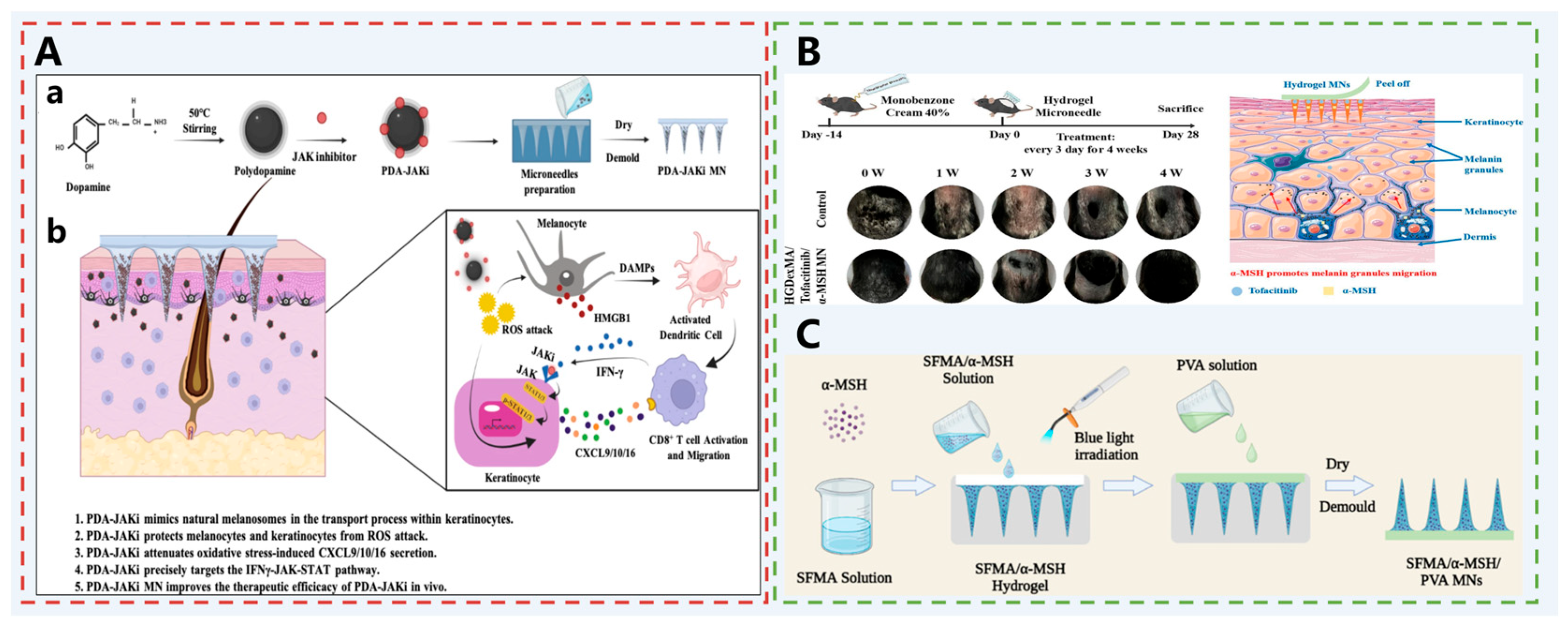 Pharmaceutics 17 01281 g009