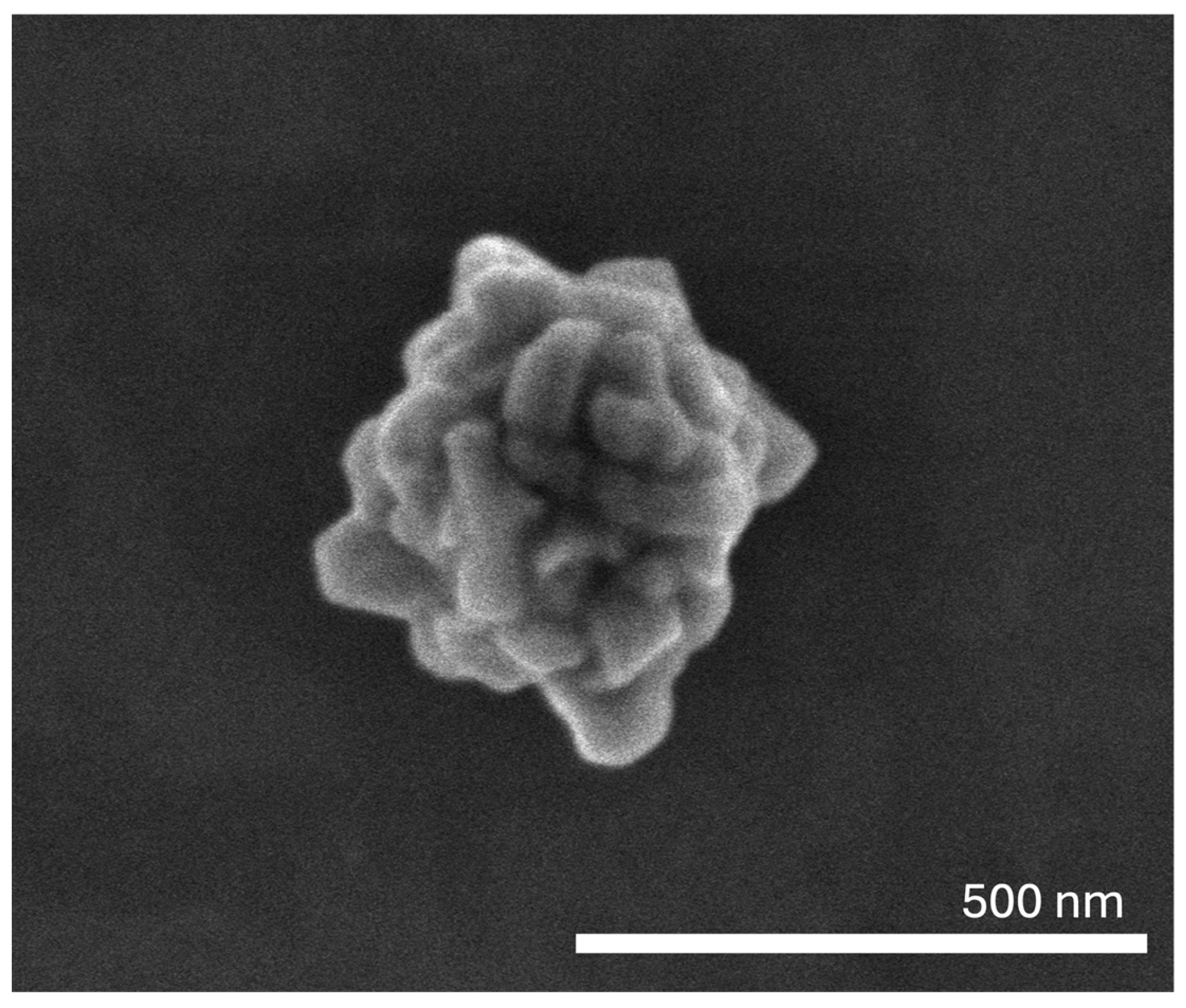 Pharmaceutics 17 01283 g001