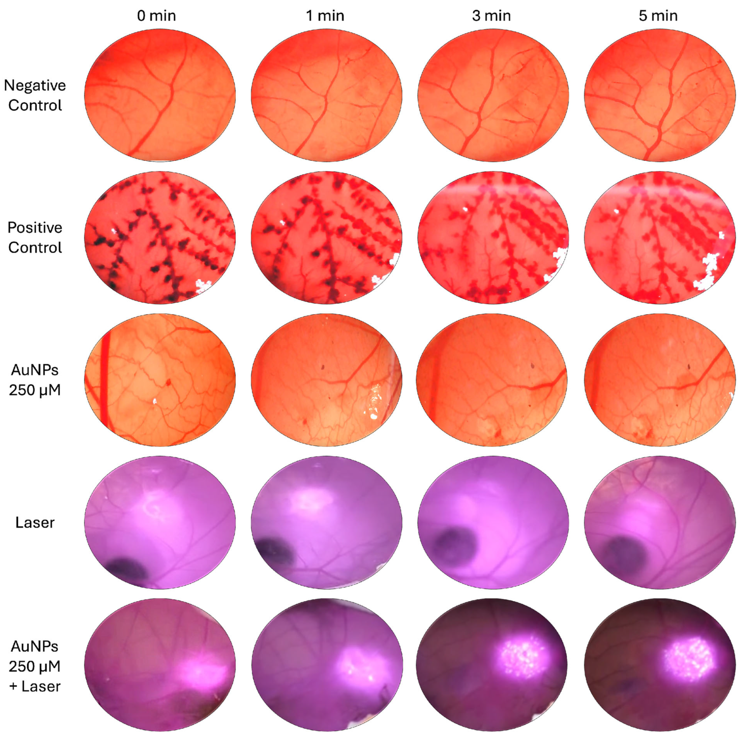 Pharmaceutics 17 01283 g005