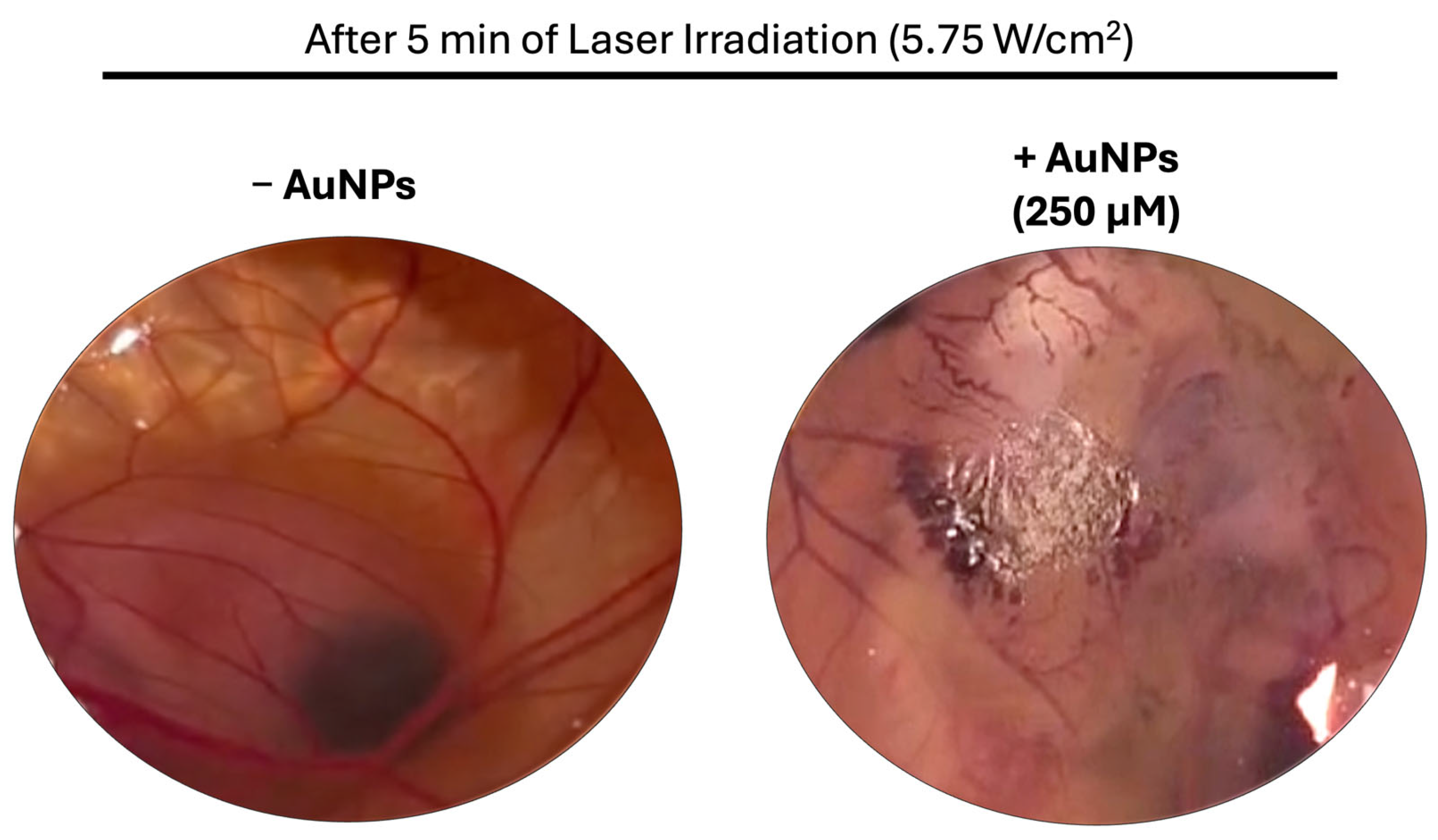 Pharmaceutics 17 01283 g006