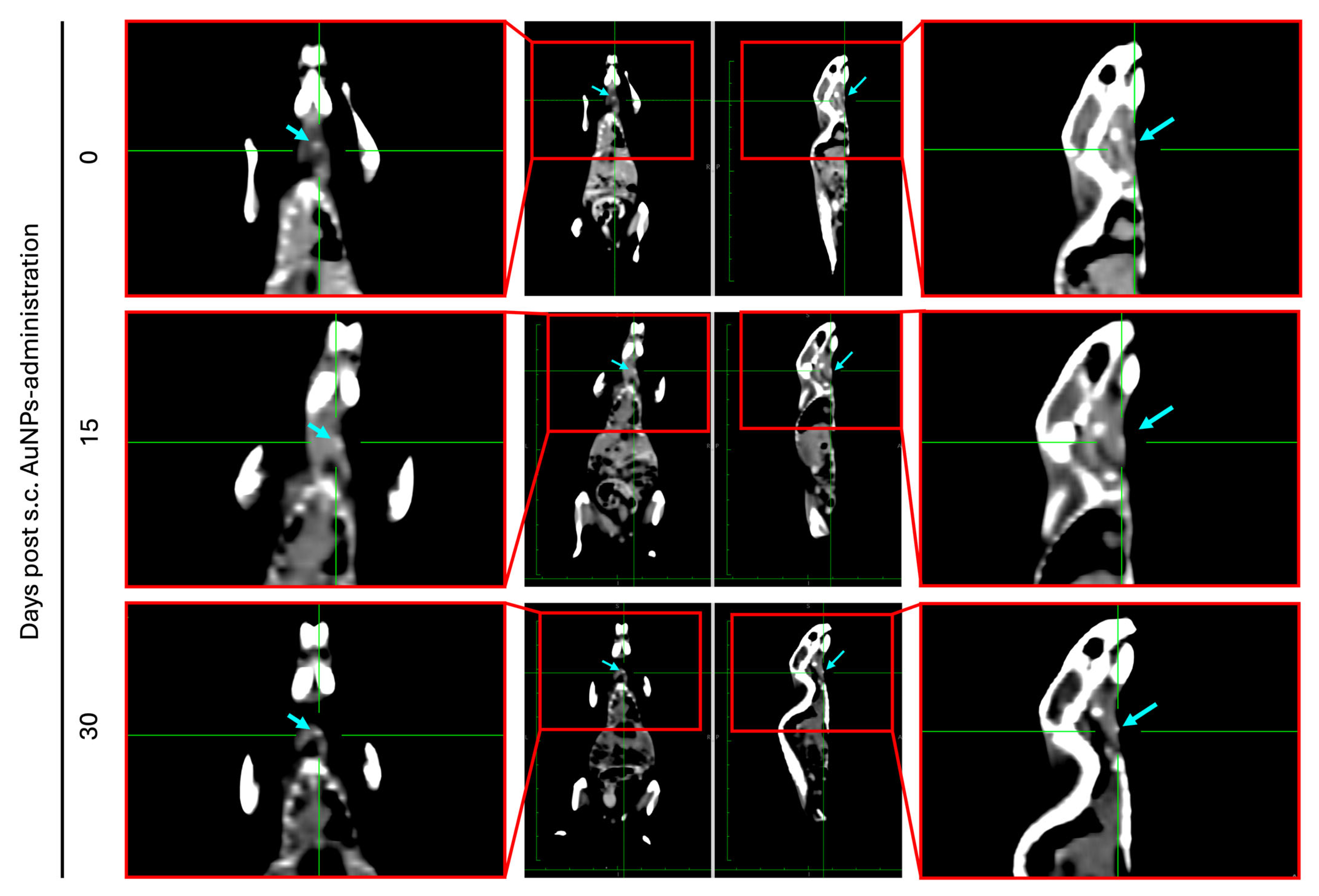 Pharmaceutics 17 01283 g009