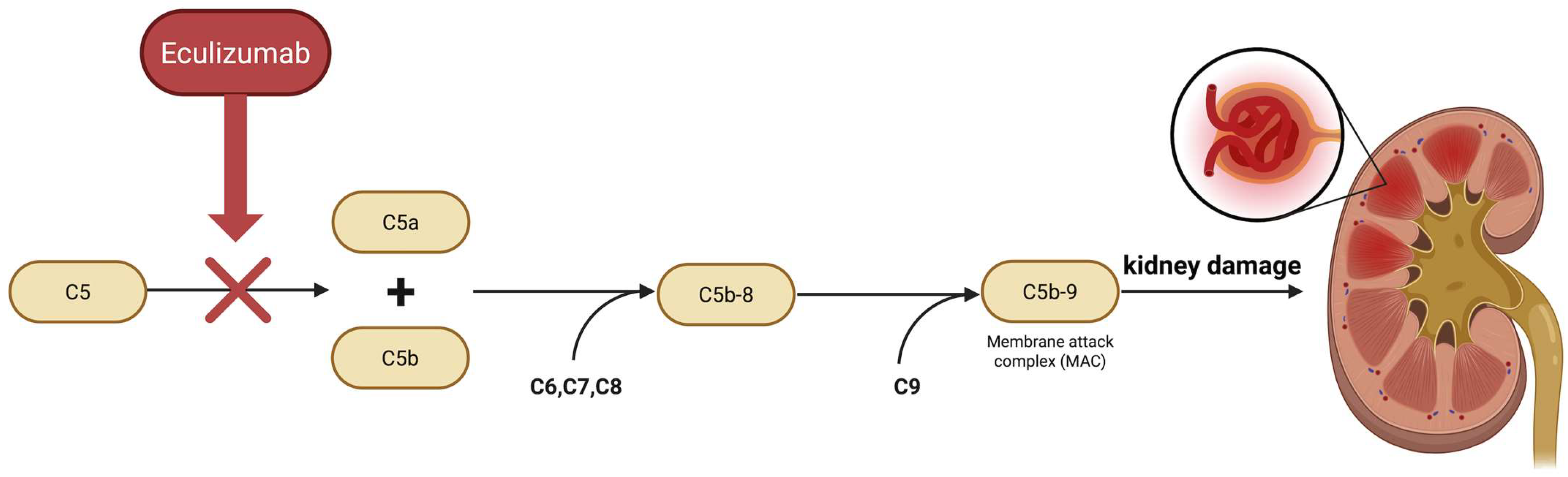 Pharmaceutics 17 01284 g001