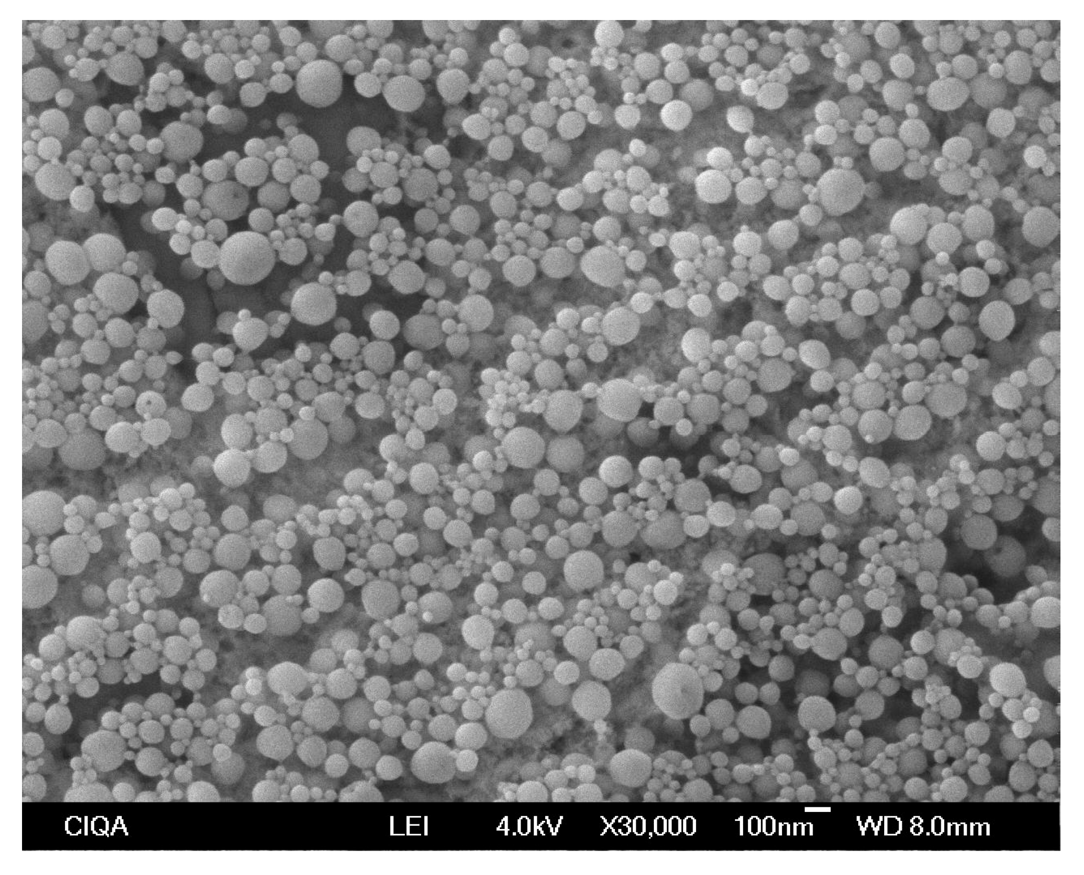 Pharmaceutics 17 01286 g003