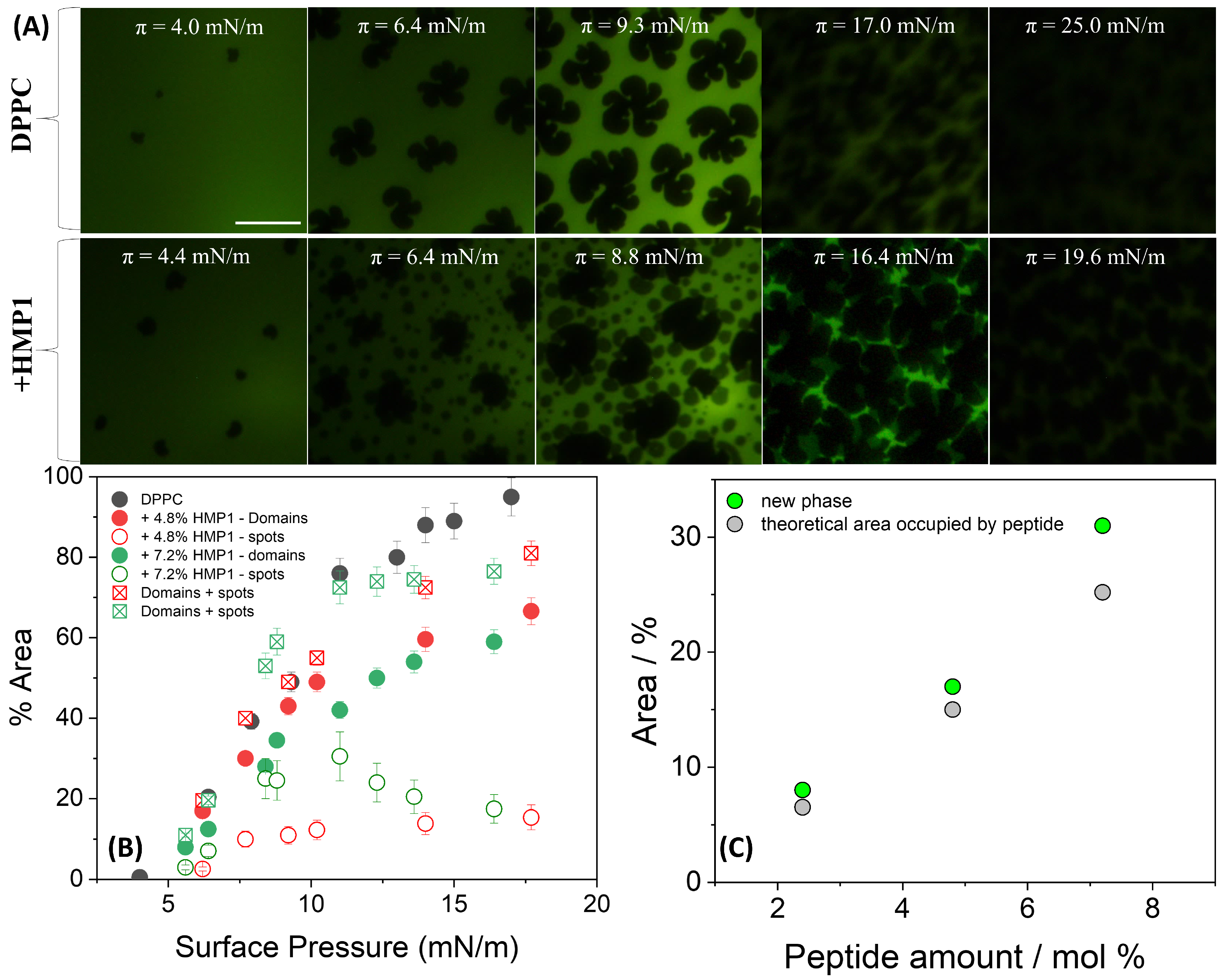 Pharmaceutics 17 01287 g003