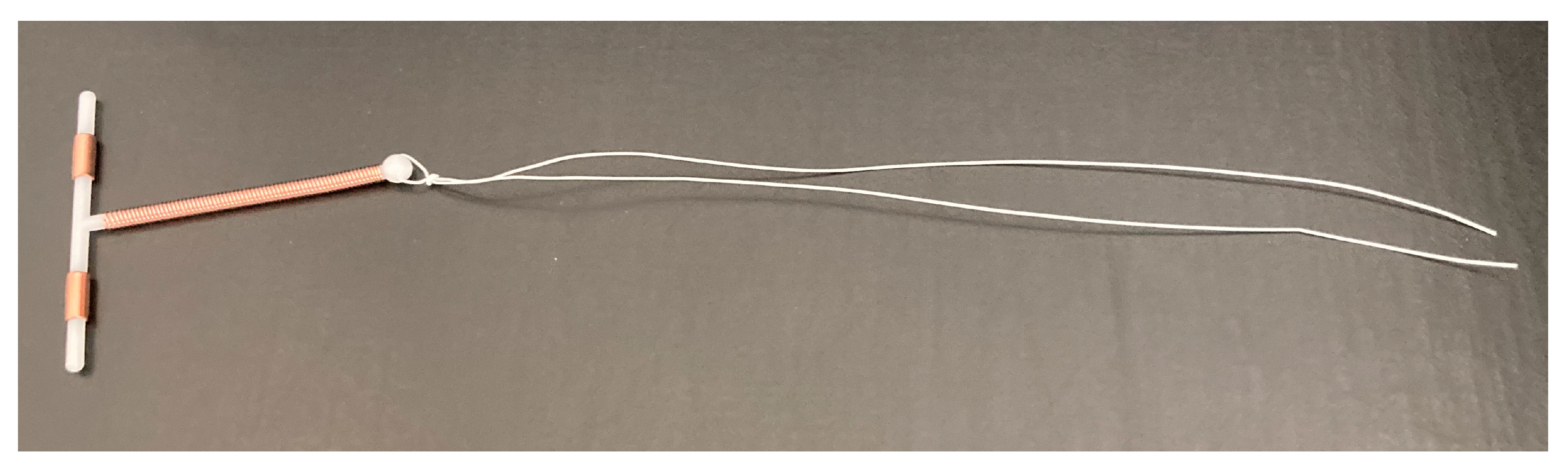 Pharmaceutics 17 01304 g001 Pharmaceutics 17 01304 g001