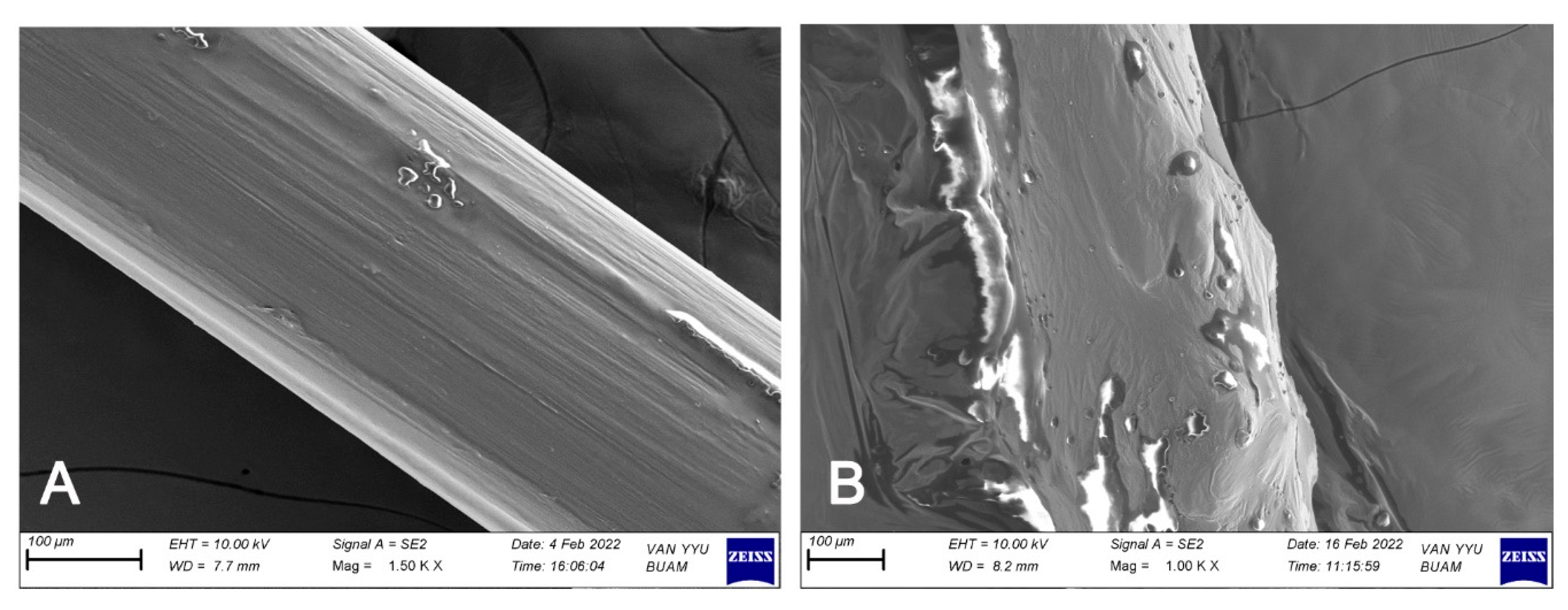 Pharmaceutics 17 01304 g003 Pharmaceutics 17 01304 g003