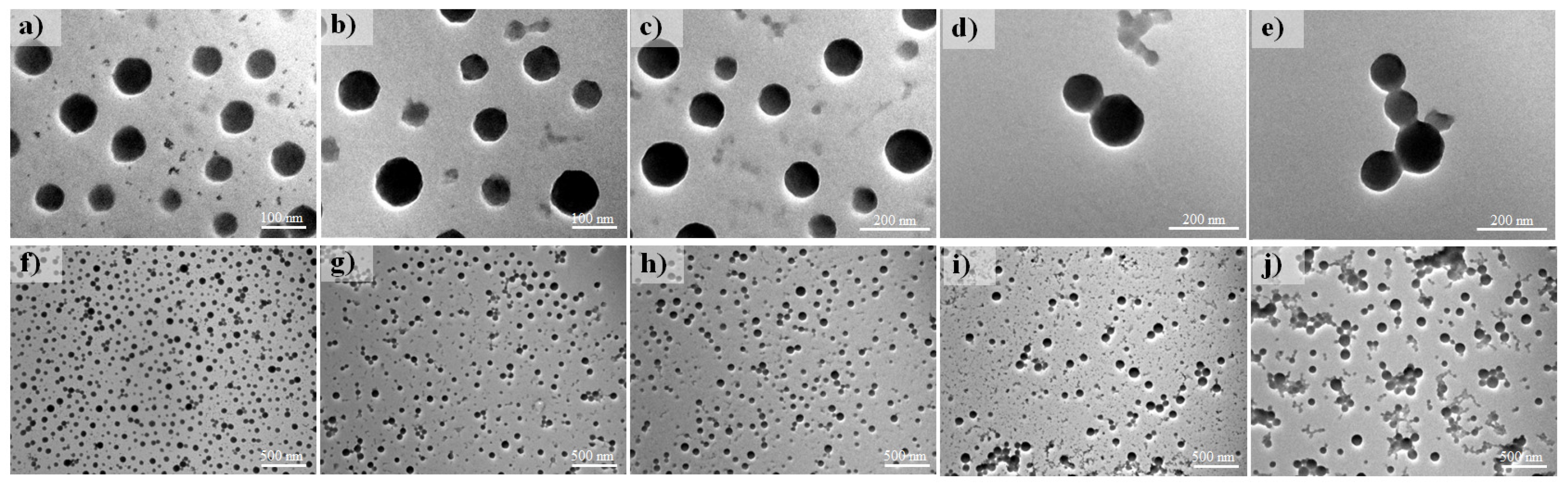 Pharmaceutics 17 01306 g003 Pharmaceutics 17 01306 g003