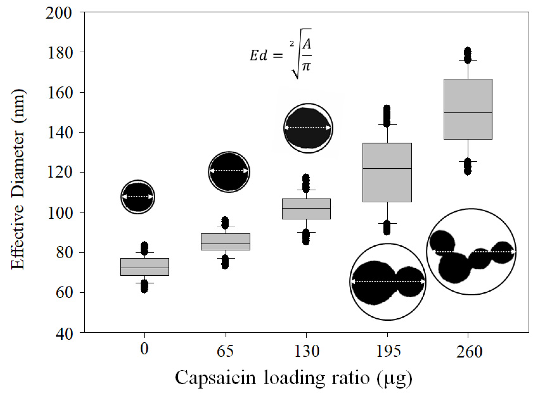 Pharmaceutics 17 01306 g005 Pharmaceutics 17 01306 g005